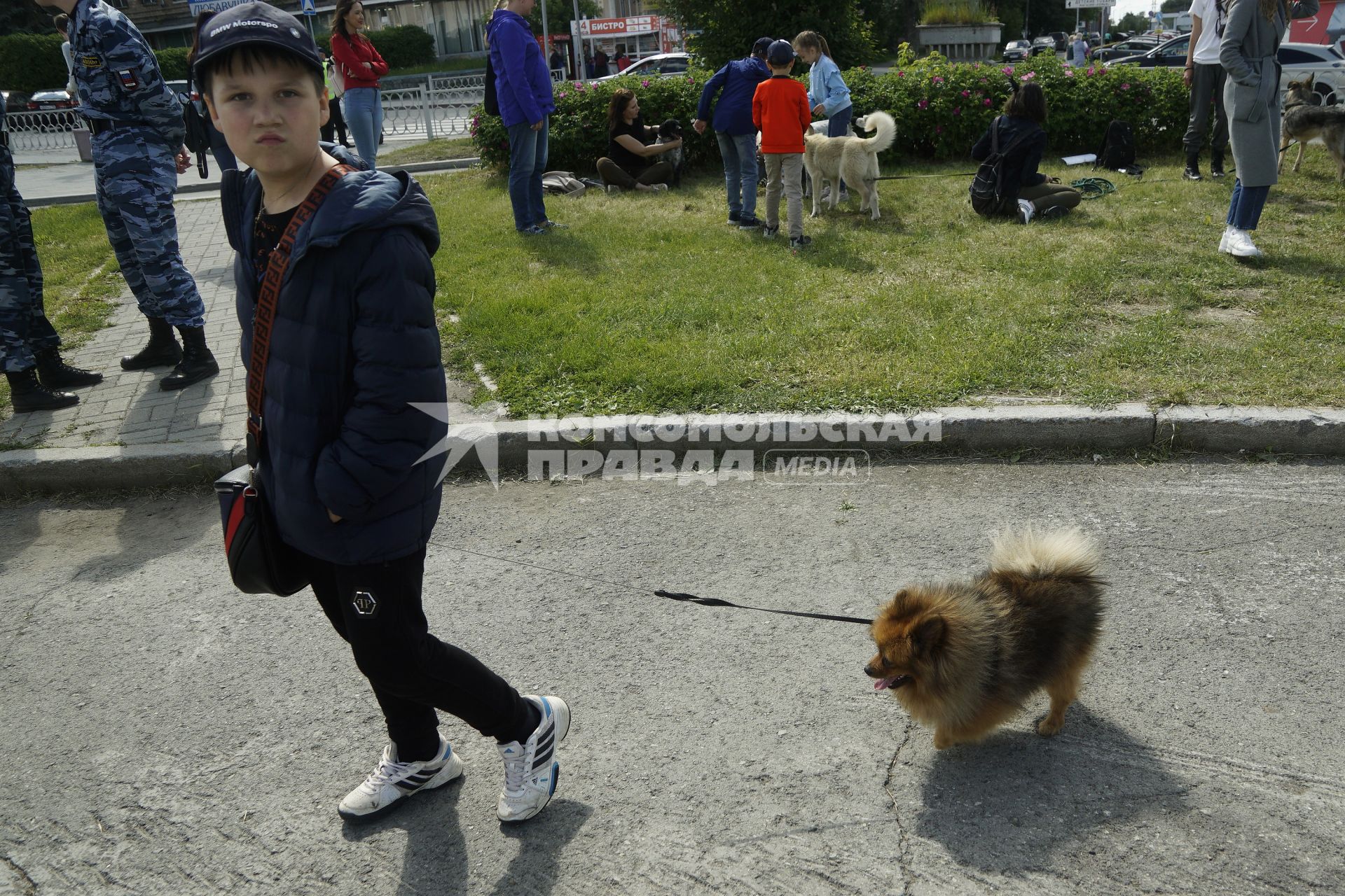 Екатеринбург. Семейный фестиваль \'ЛапкиFEST\' в рамках которого можно познакомиться с животными из приюта и при желании забрать их к себе домой