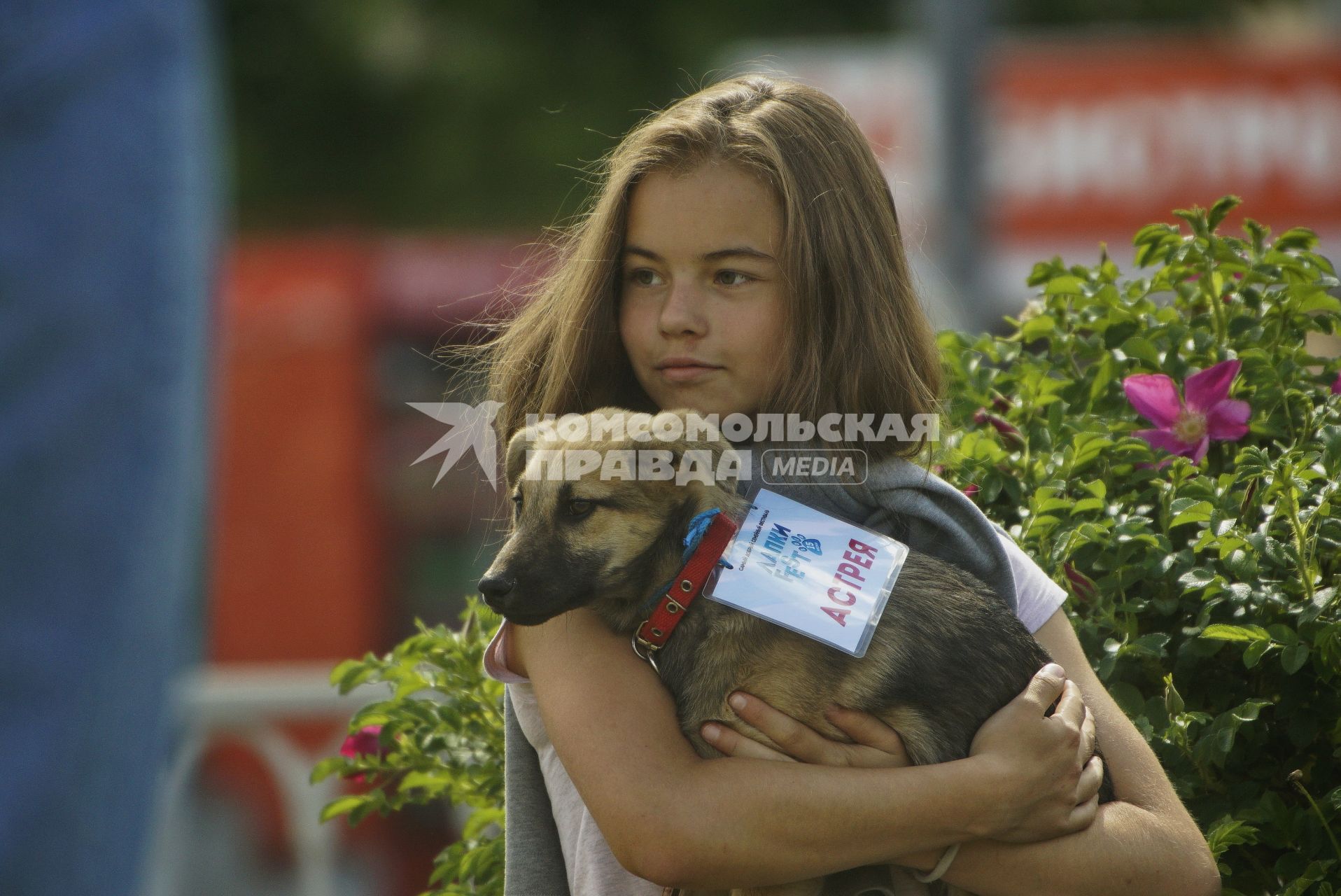 Екатеринбург. Семейный фестиваль \'ЛапкиFEST\' в рамках которого можно познакомиться с животными из приюта и при желании забрать их к себе домой