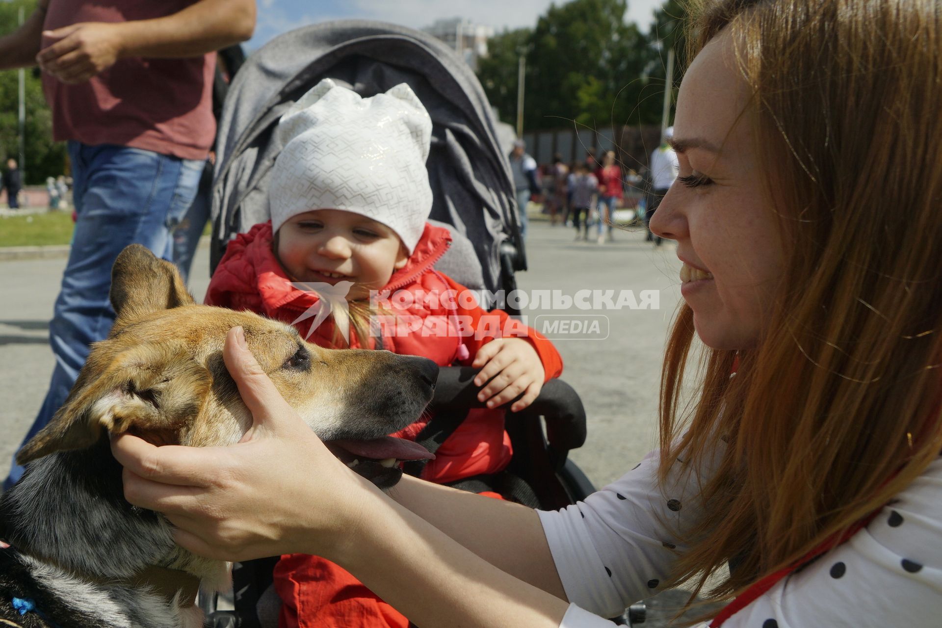 Екатеринбург. Семейный фестиваль \'ЛапкиFEST\' в рамках которого можно познакомиться с животными из приюта и при желании забрать их к себе домой