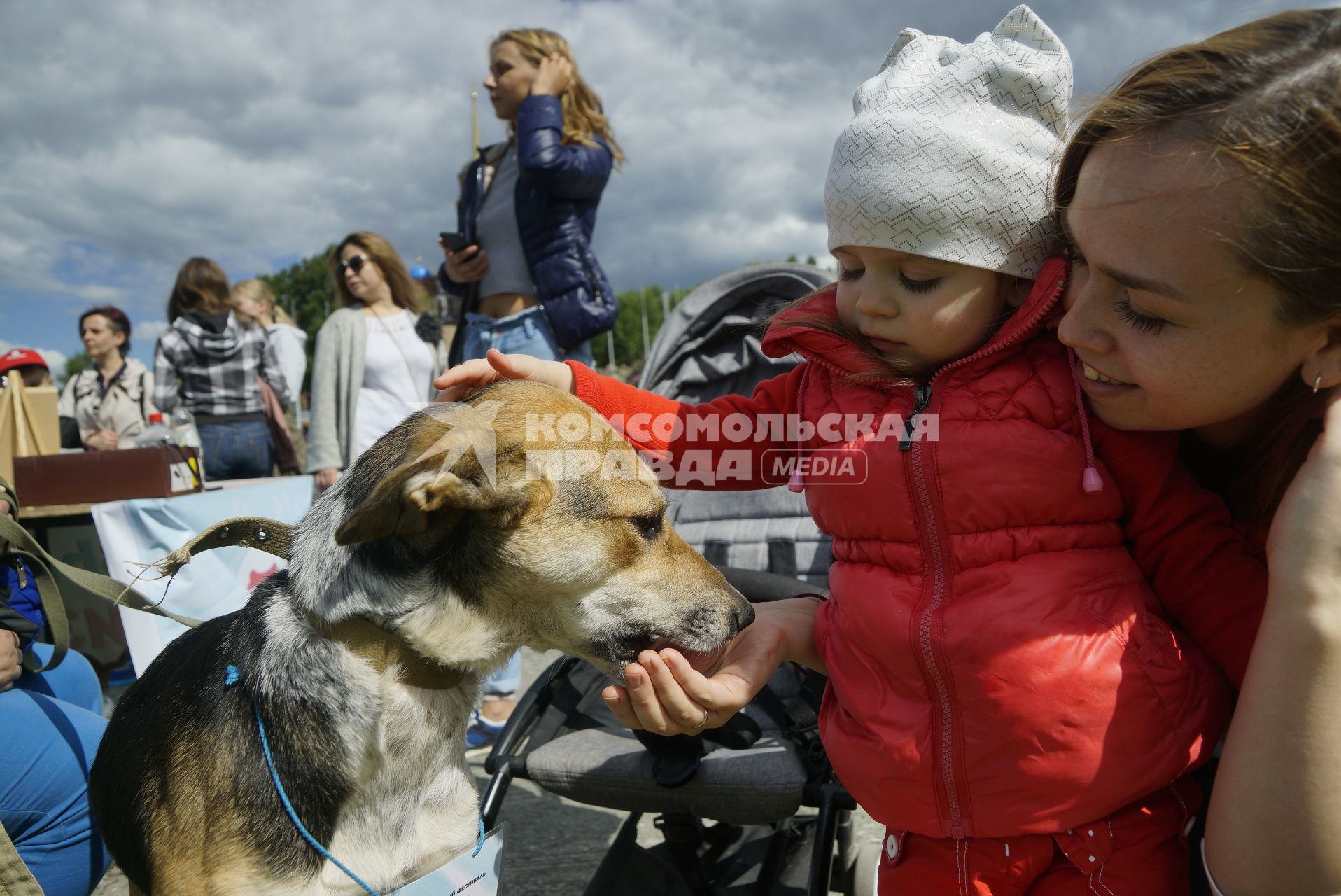 Екатеринбург. Семейный фестиваль \'ЛапкиFEST\' в рамках которого можно познакомиться с животными из приюта и при желании забрать их к себе домой