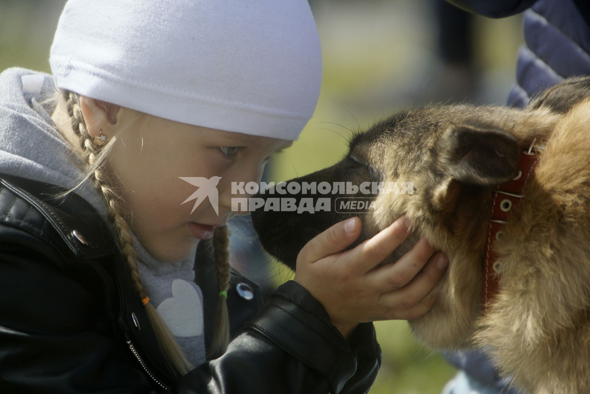 Екатеринбург. Семейный фестиваль \'ЛапкиFEST\' в рамках которого можно познакомиться с животными из приюта и при желании забрать их к себе домой