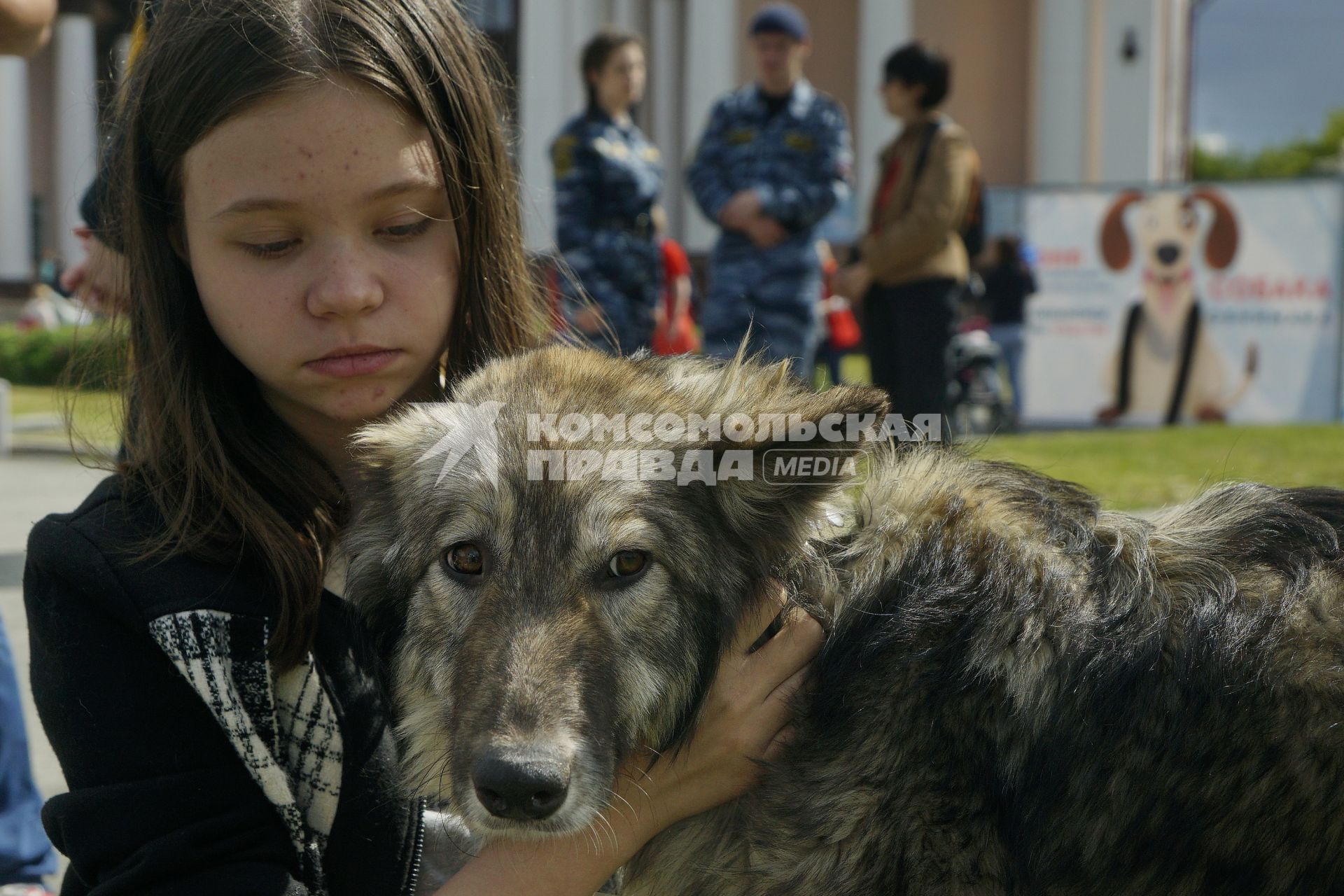 Екатеринбург. Семейный фестиваль \'ЛапкиFEST\' в рамках которого можно познакомиться с животными из приюта и при желании забрать их к себе домой