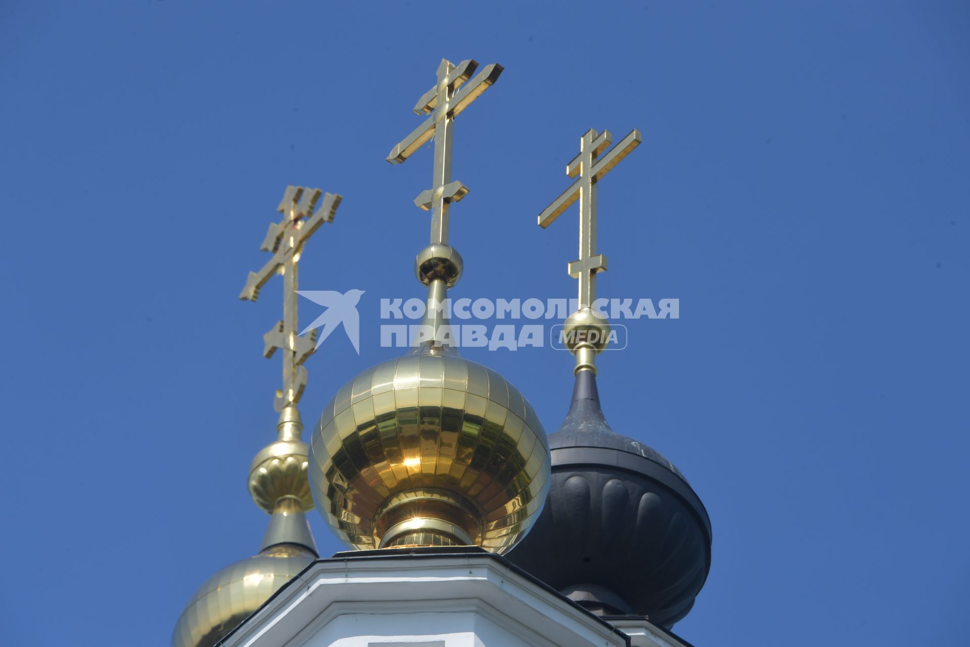 Московская область.  Вид на храм Христа Спасителя  Николо-Берлюковского  мужского монастыря.