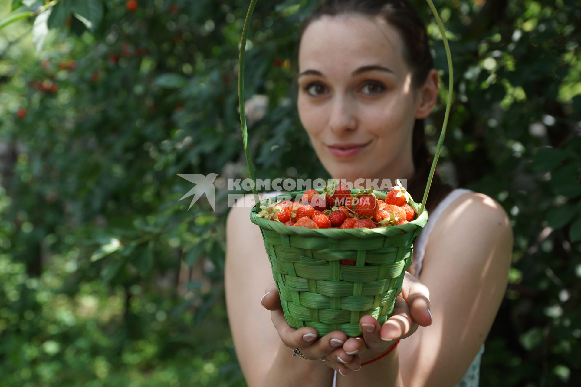 Самара. Девушка собирает ягоды на дачном участке.