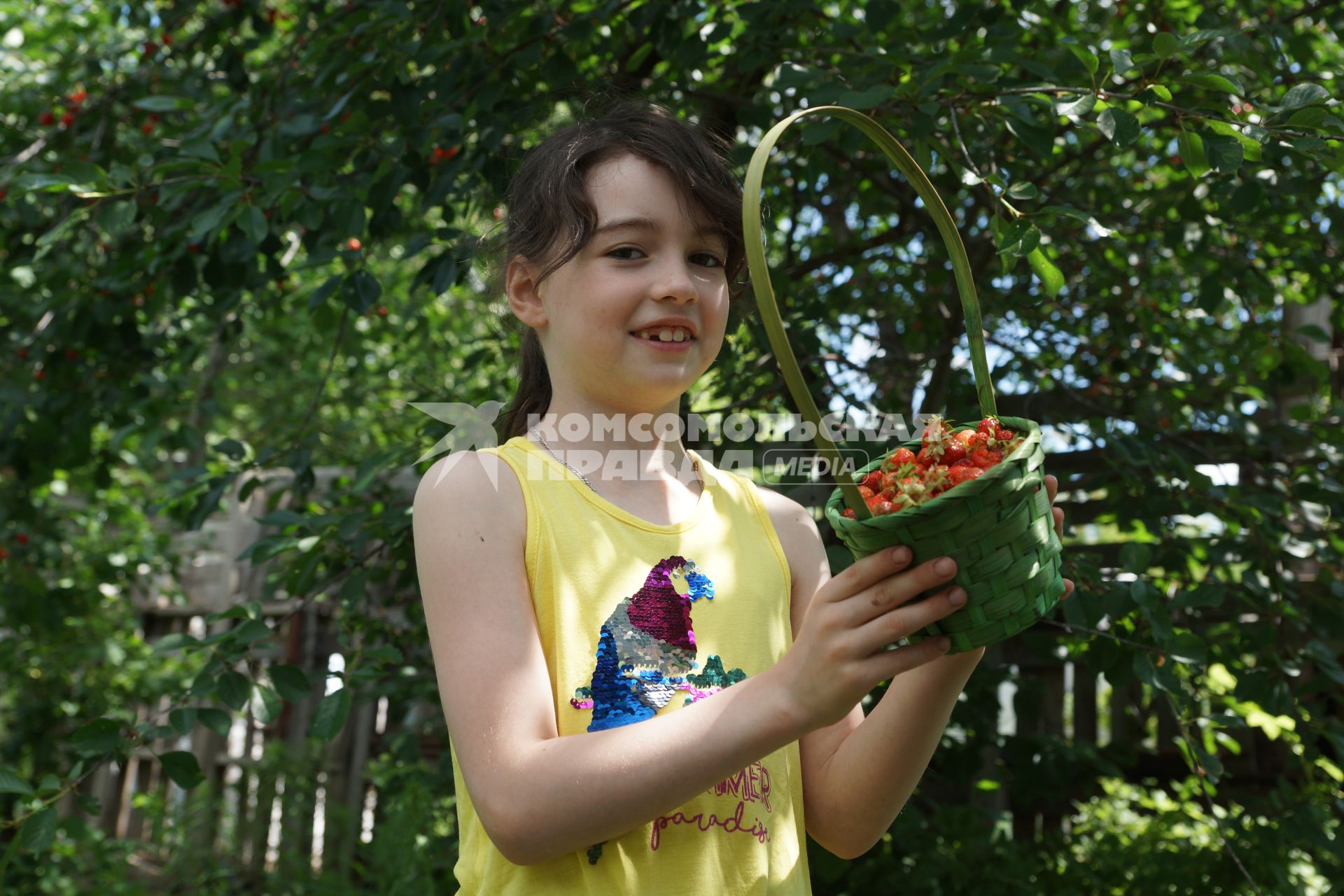 Самара. Девочка собирает ягоды на дачном участке.