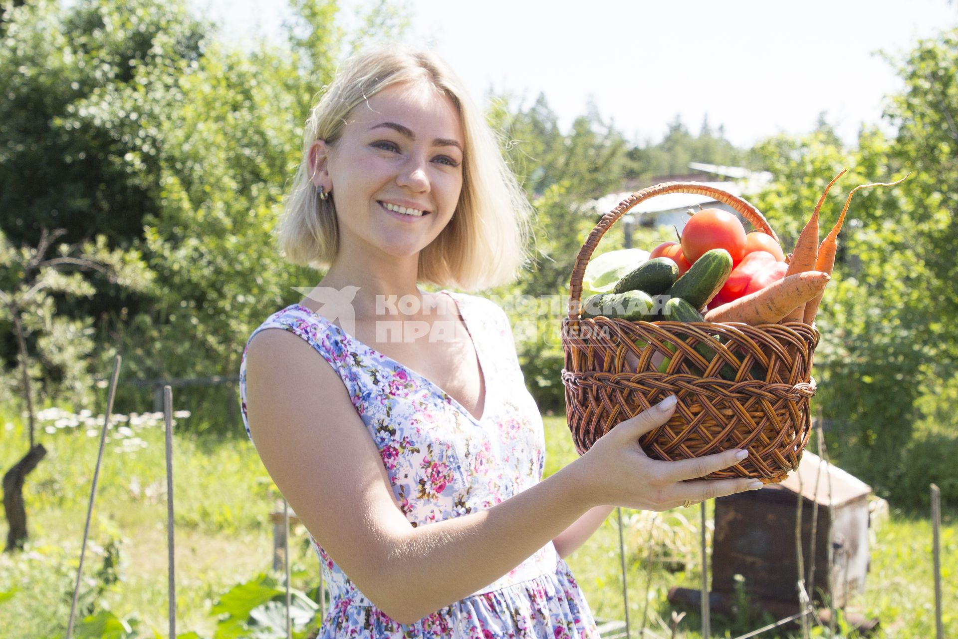 Иркутск. Девушка собирает урожай овощей на даче.