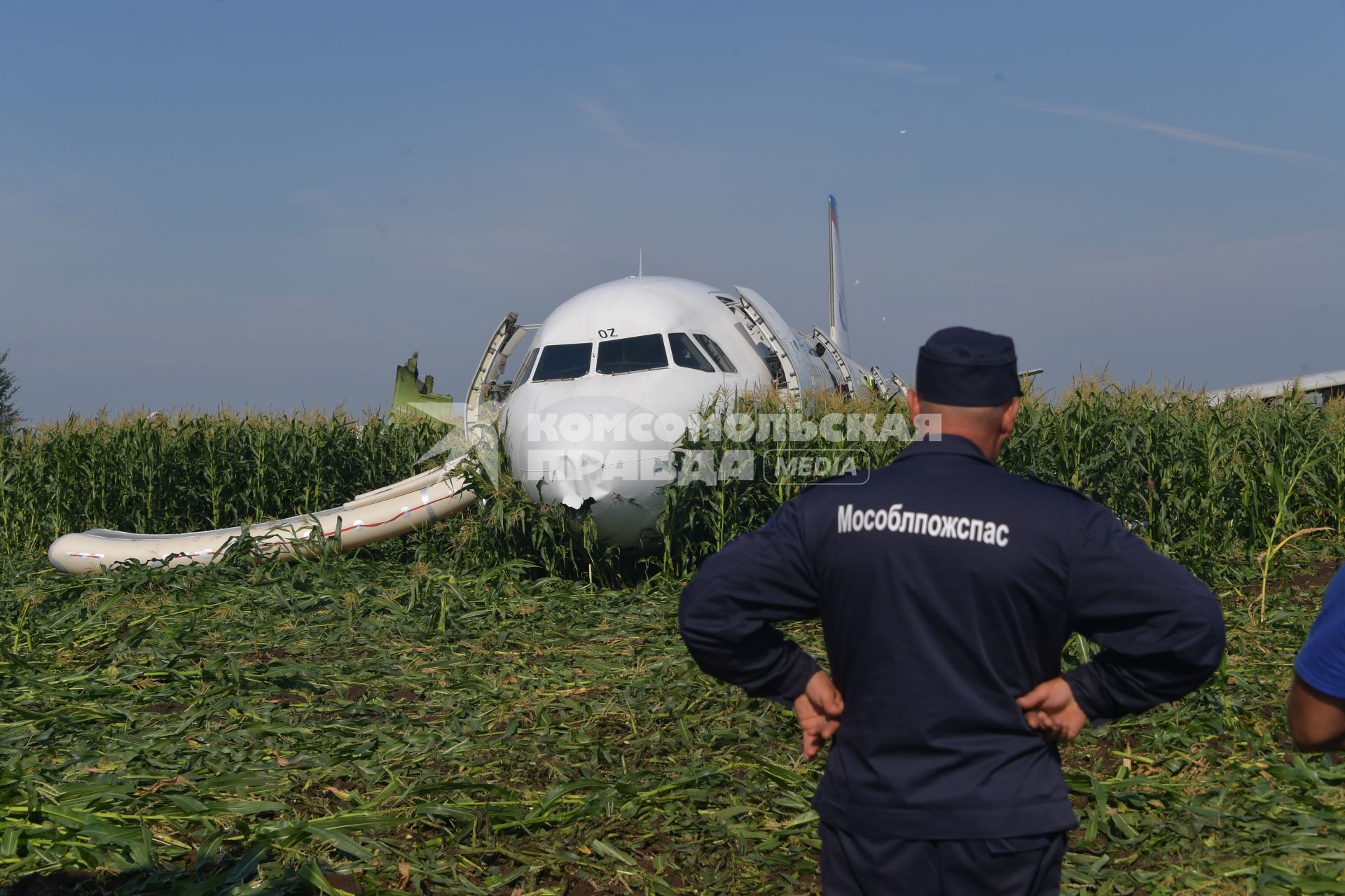 Московская область.  Самолет Airbus A321 авиакомпании `Уральские авиалинии`, который совершил аварийную посадку в районе аэропорта Жуковский после возгорания двигателя при взлете.