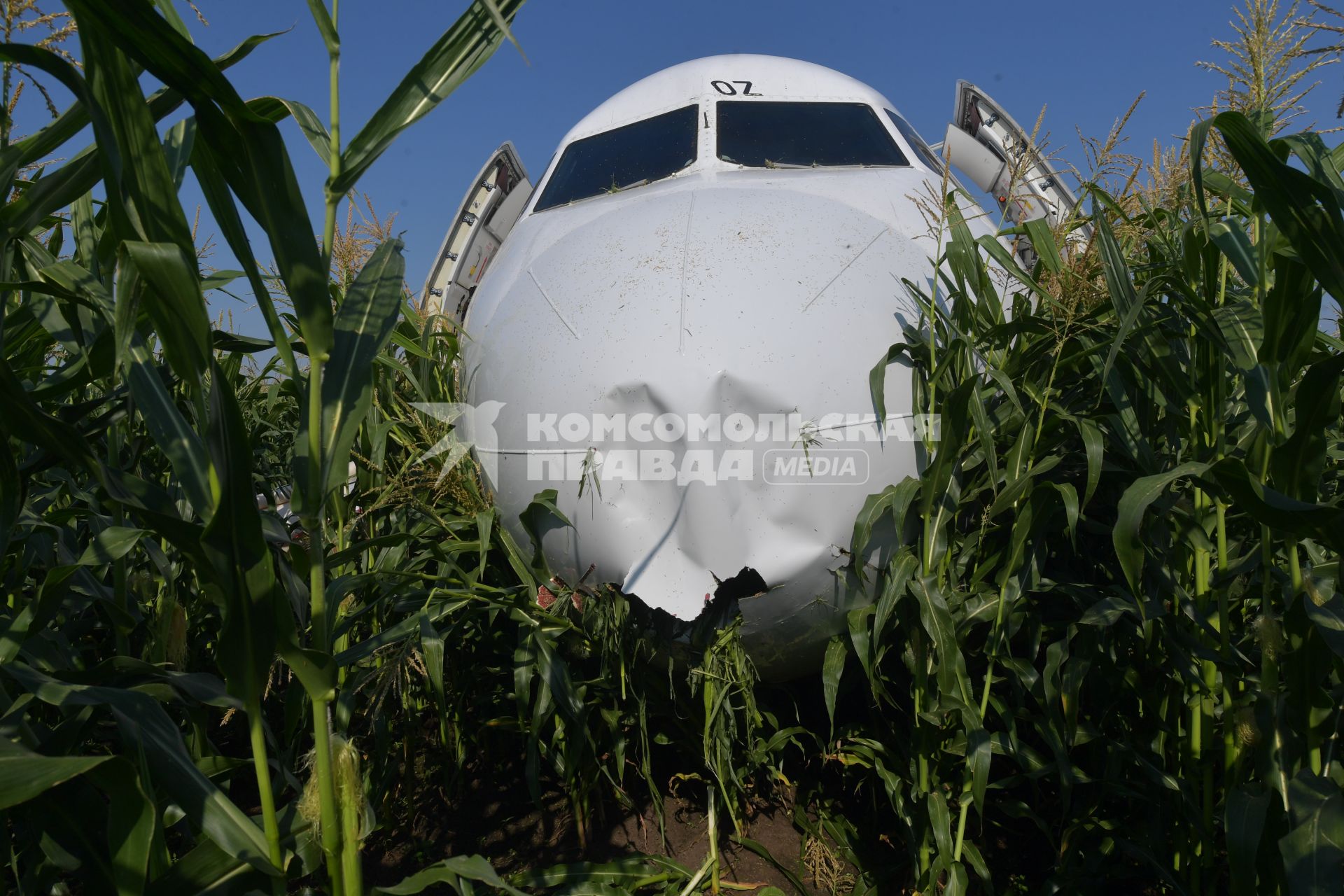 Московская область.  Самолет Airbus A321 авиакомпании `Уральские авиалинии`, который совершил аварийную посадку в районе аэропорта Жуковский после возгорания двигателя при взлете.