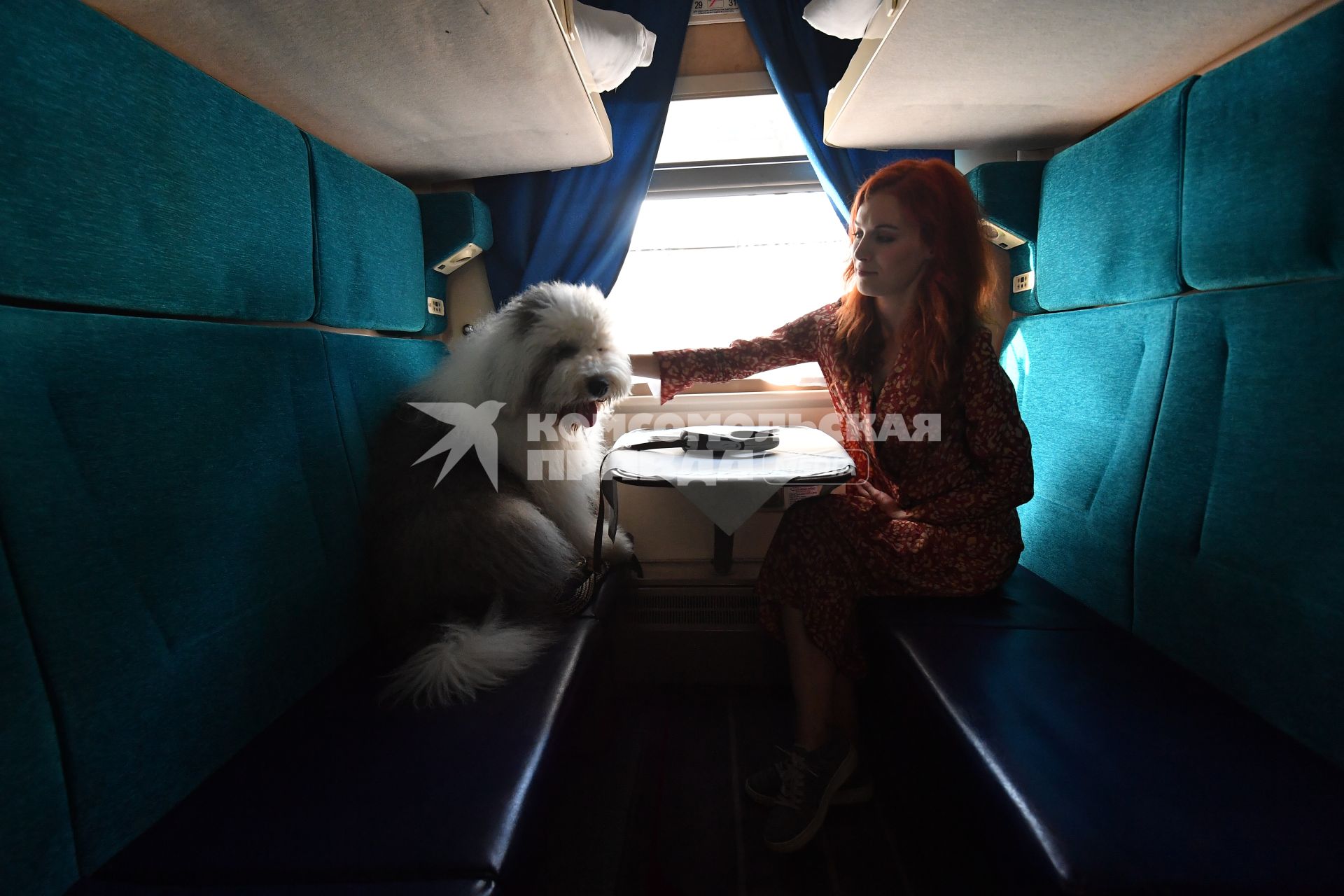 Москва.  Женщина с собакой в купе поезда.