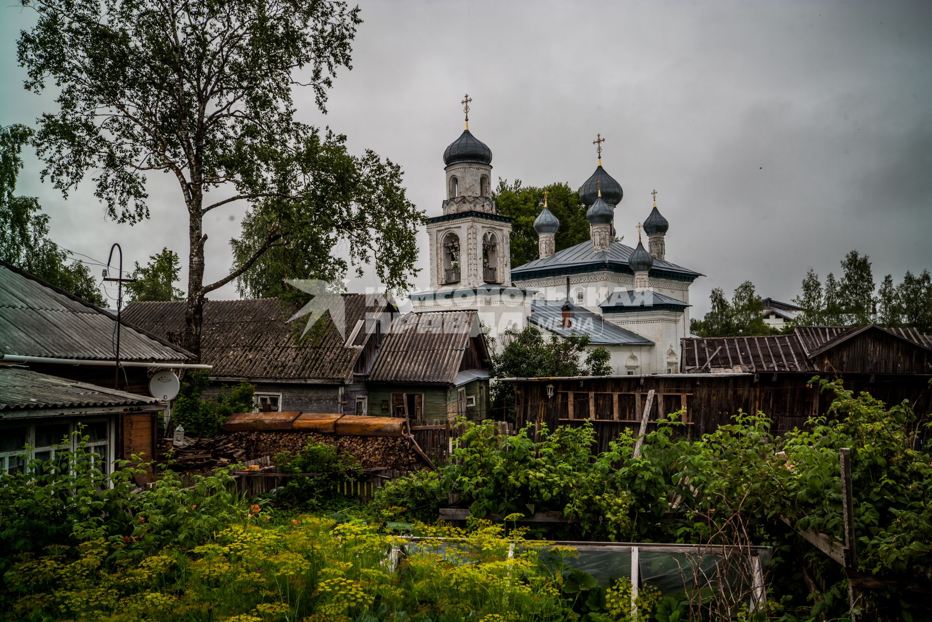 Архангельская область, Каргополь. Вид на  церковь Рождества Богородицы.