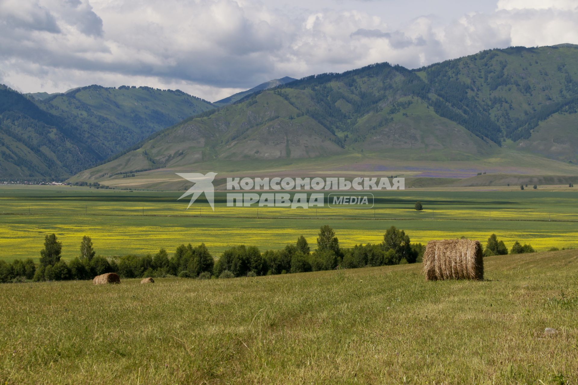 Горный Алтай.  Вид на Уймонскую долину.