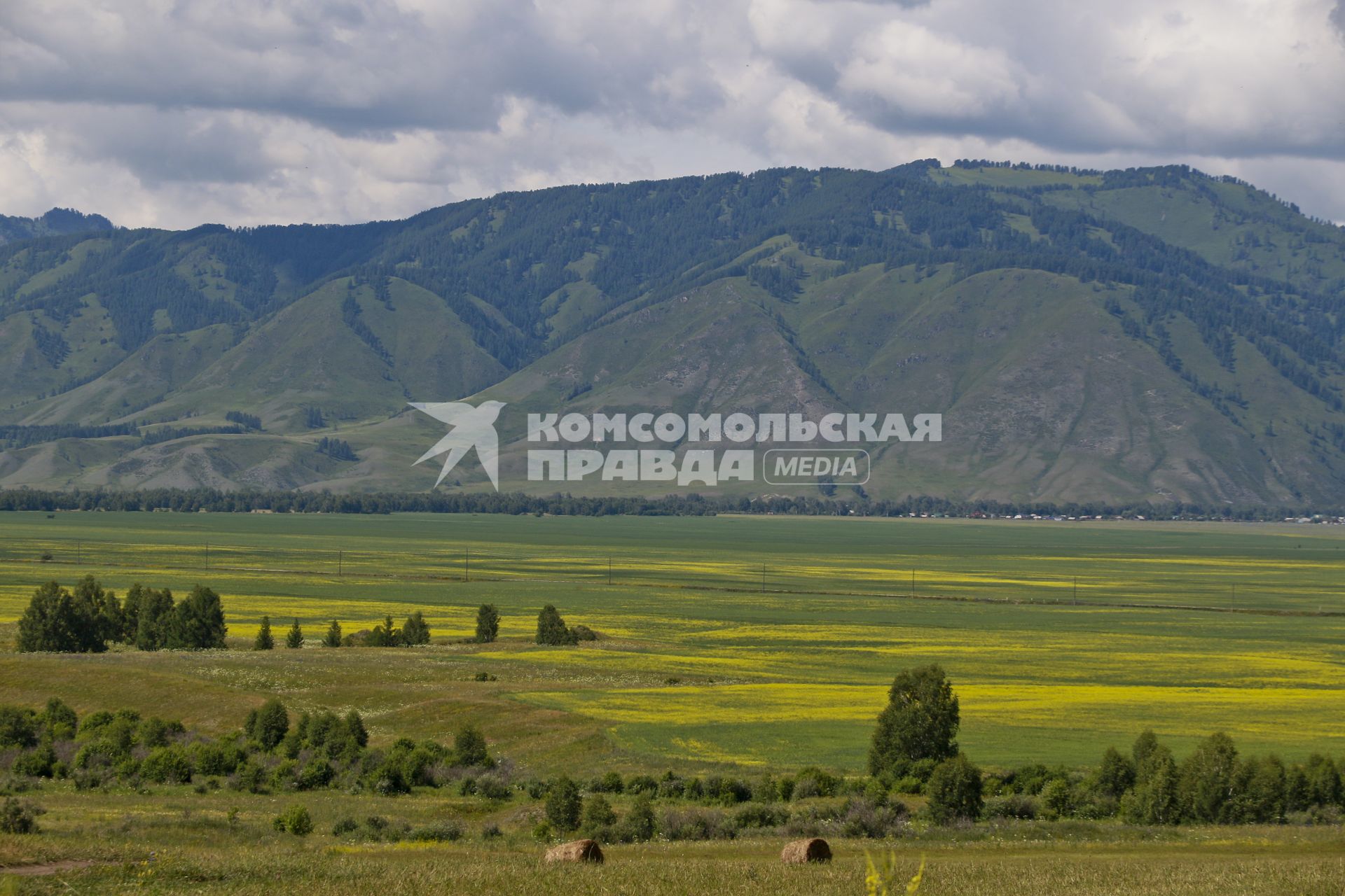 Горный Алтай.  Вид на Уймонскую долину.