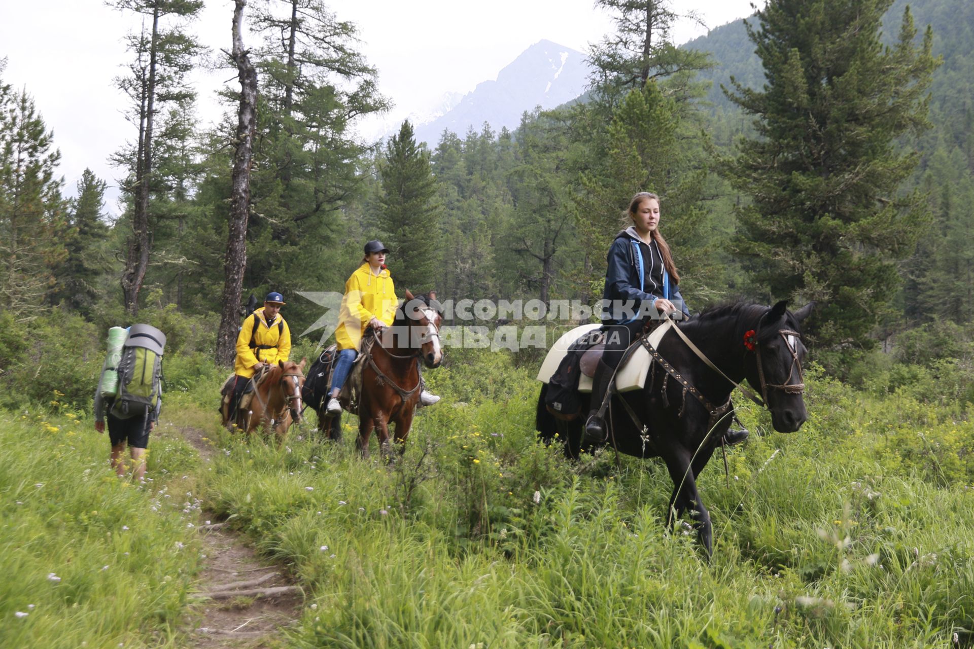 Горный Алтай. Туристы во время конной прогулки.