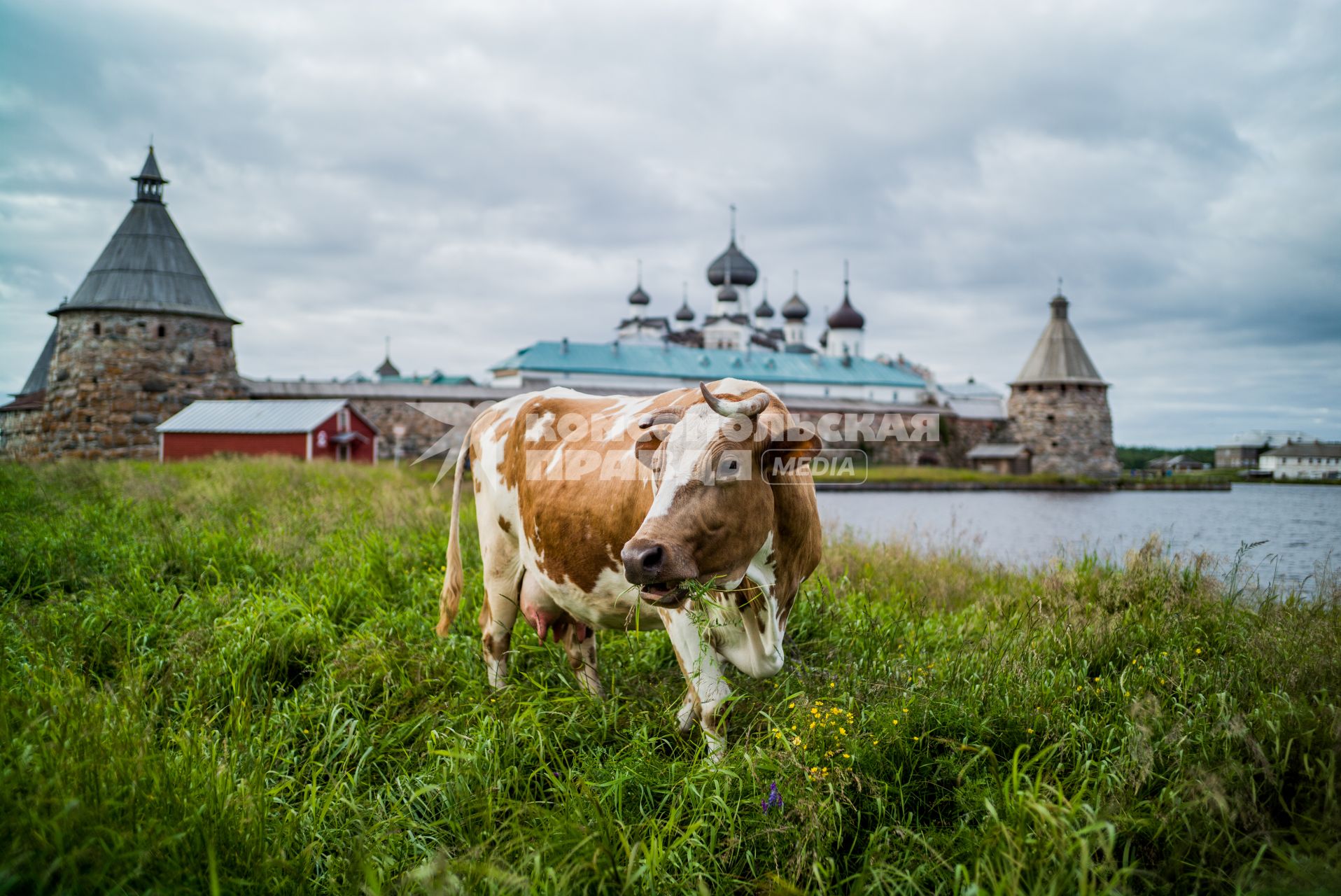 Соловки, Соловецкий монастырь.  Вид на Спасо-Преображенский Соловецкий монастырь.