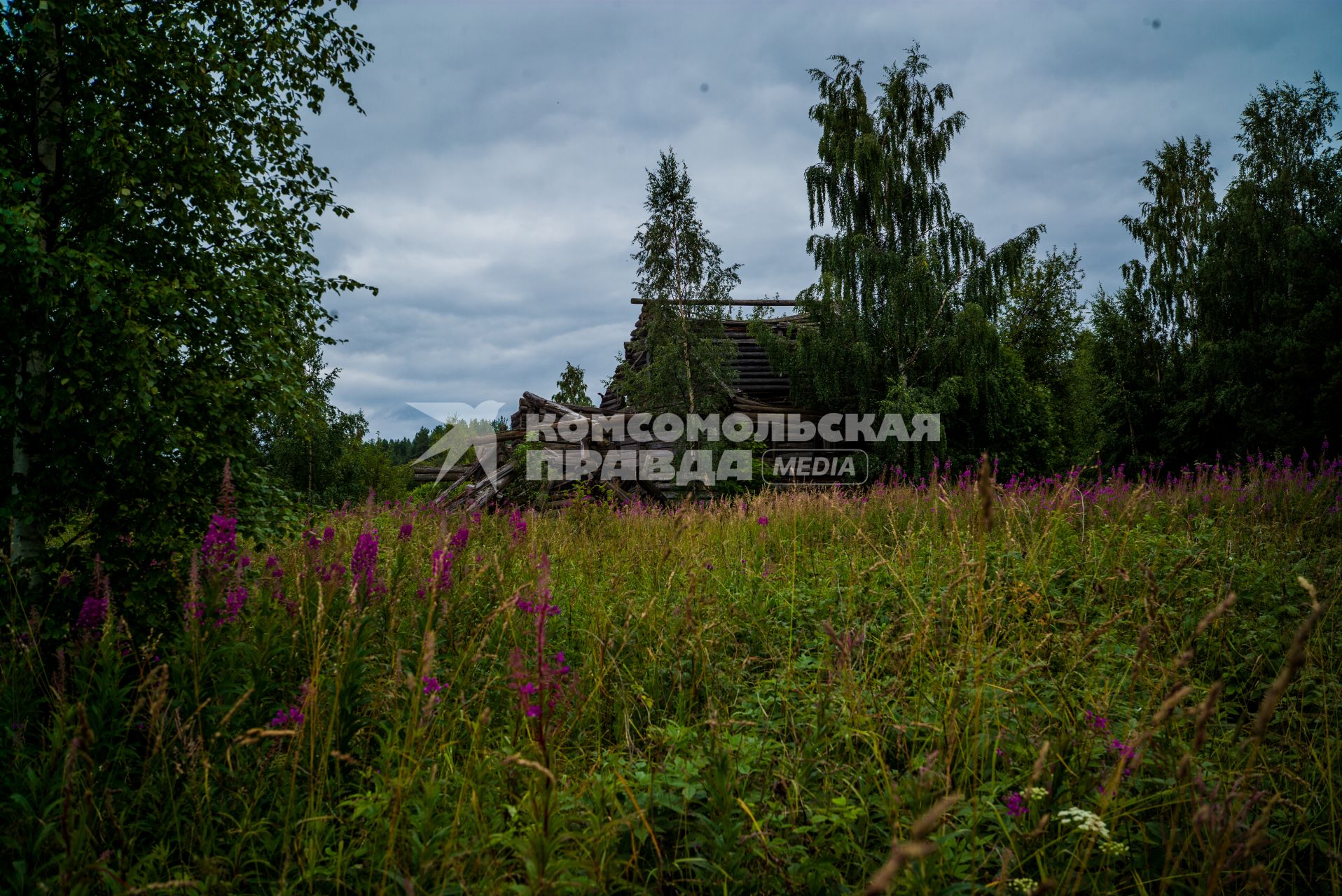 Республика Карелия, Пегрема. Развалины деревянного  дома в  заброшенной деревне.