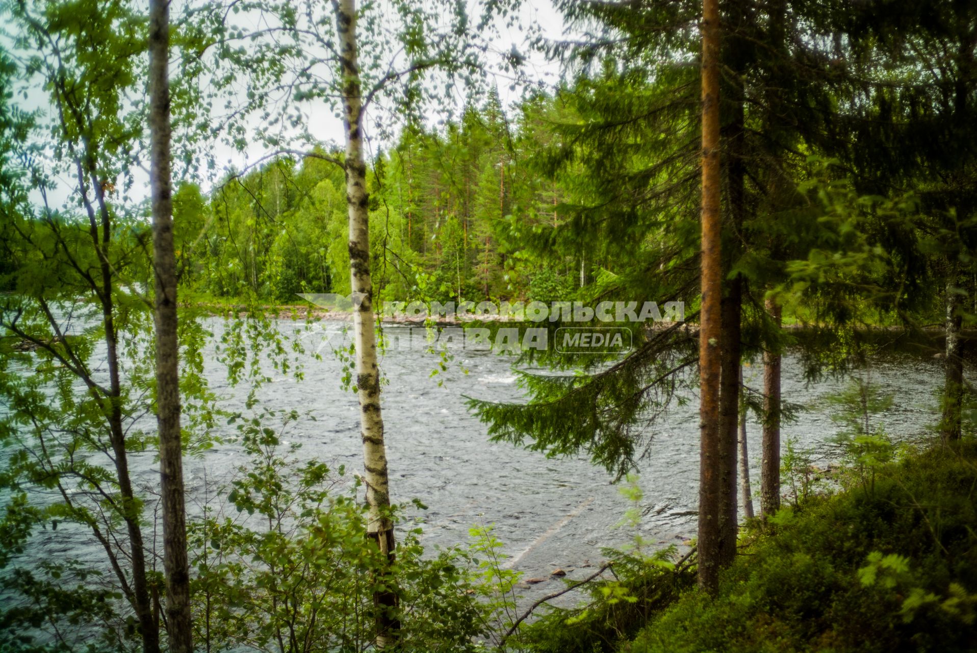 Республика Карелия,  Медвежьегорский район.  Вид  на окрестности Онежского озера.
