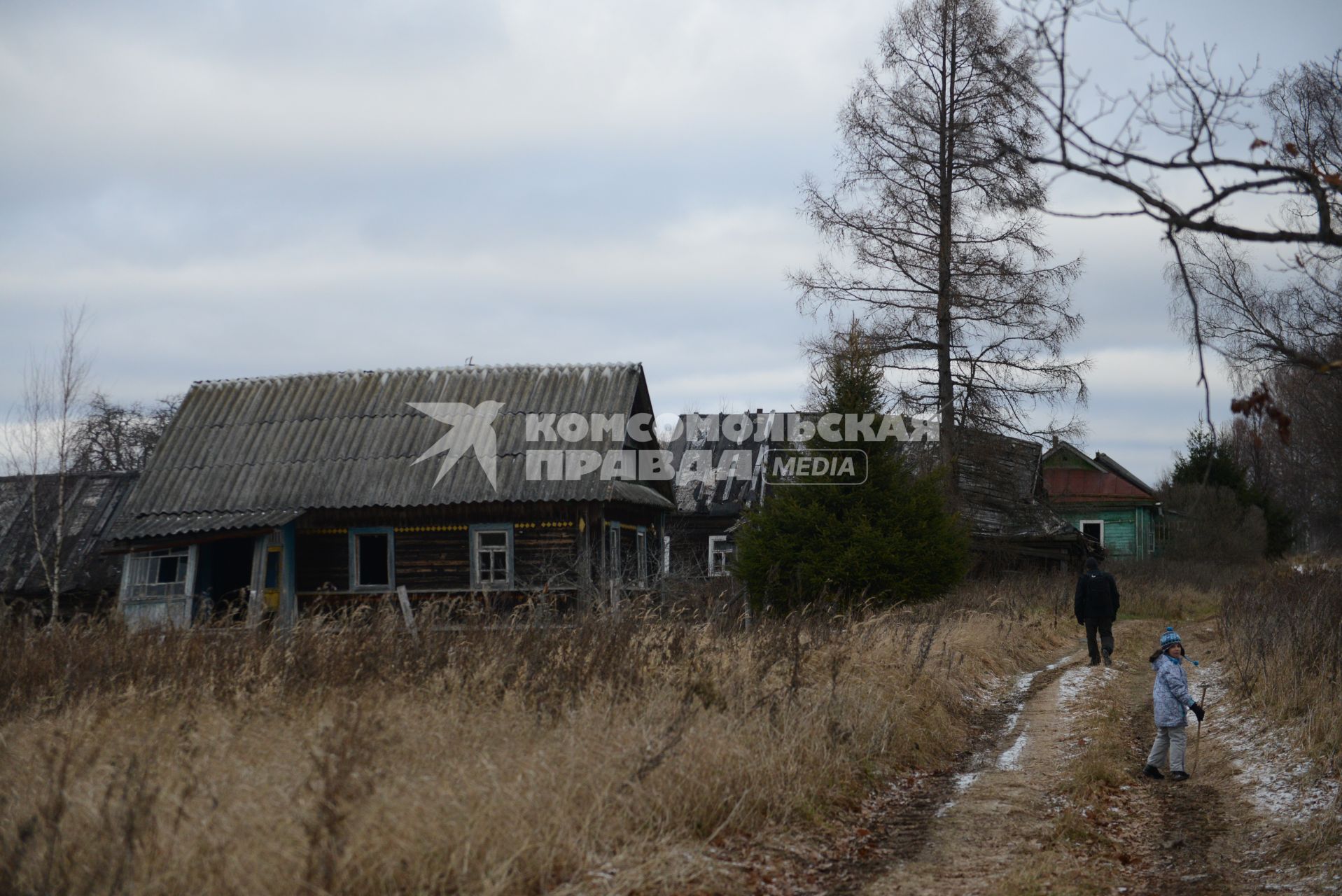 Тверская область.  Вид заброшенной деревни в Тверской области.