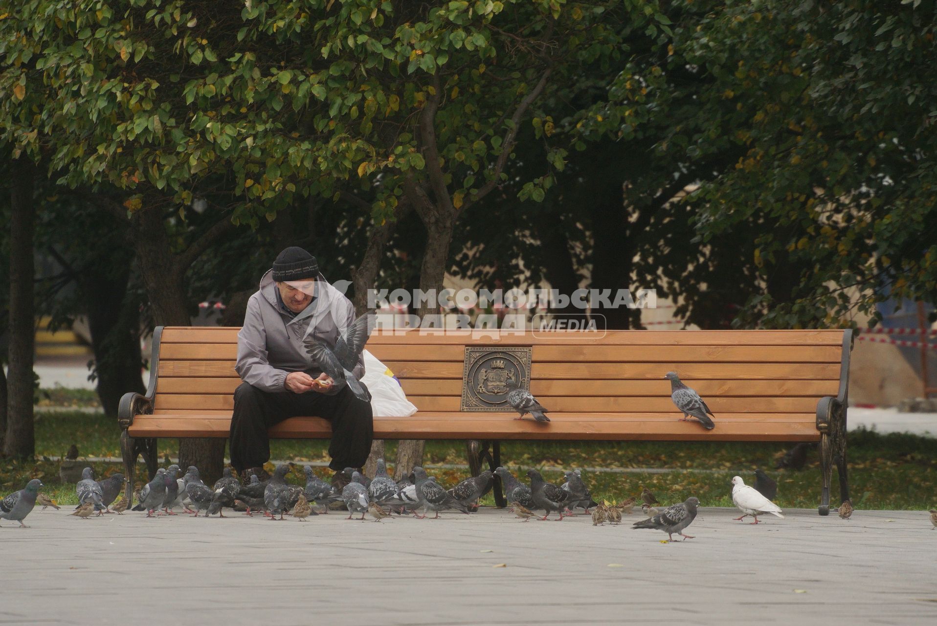 Екатеринбург. Пожилой мужчина кормит голубей сидя на скамейке в сквере