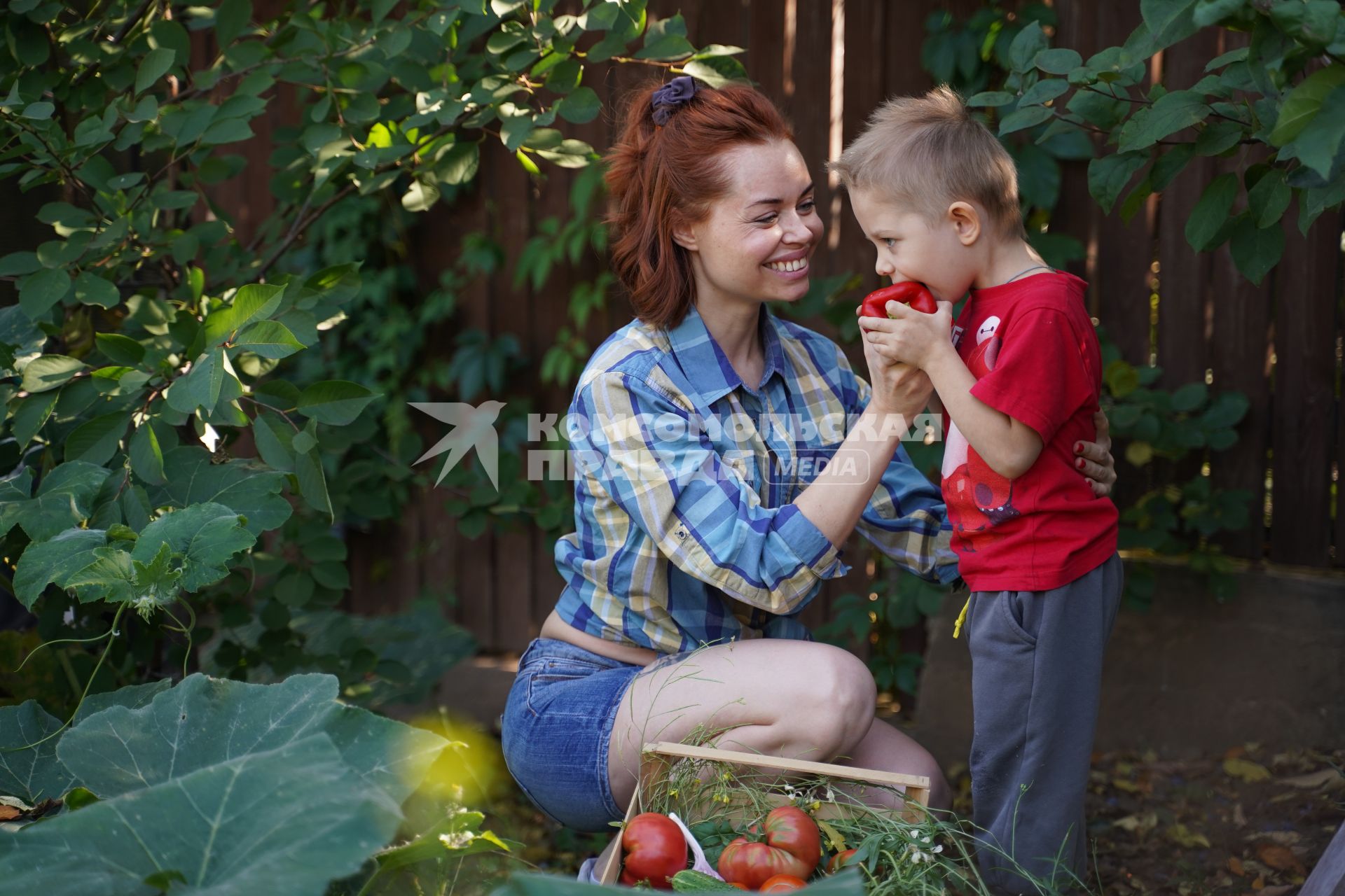 Самара. Женщина с мальчиком  собирают урожай овощей.