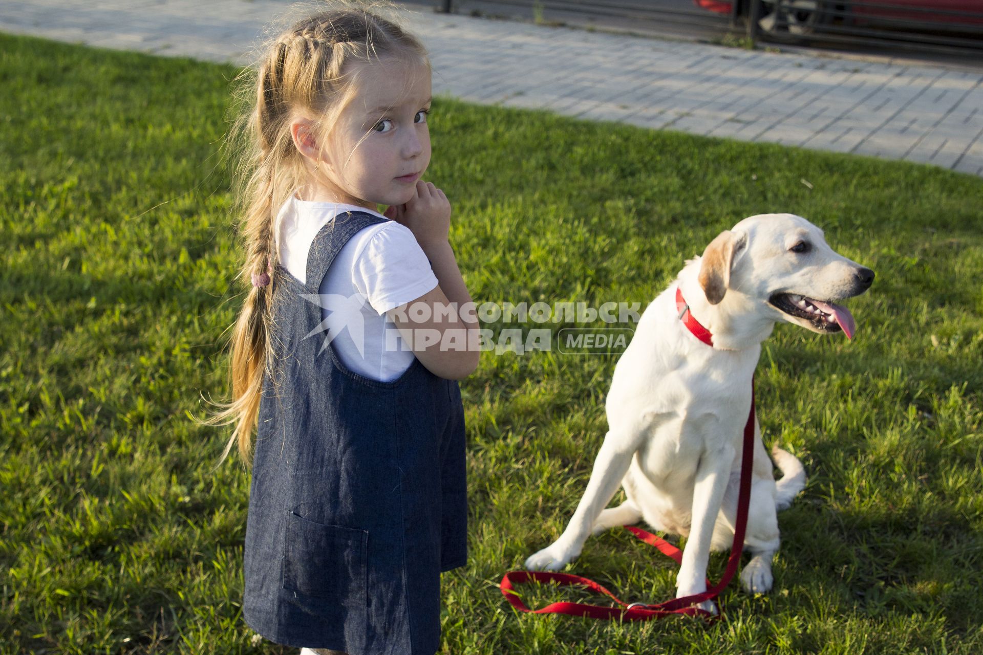 Иркутск.   Девочка с собакой породы лабрадор во  время прогулки.