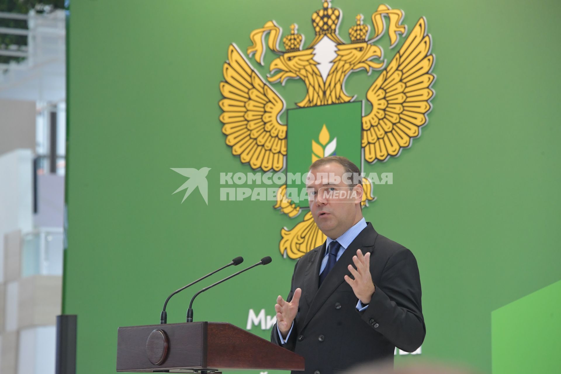 Москва.  Премьер-министр РФ Дмитрий Медведев во время выступления на церемонии открытия XXI Российской агропромышленной выставки `Золотая осень` на ВДНХ.