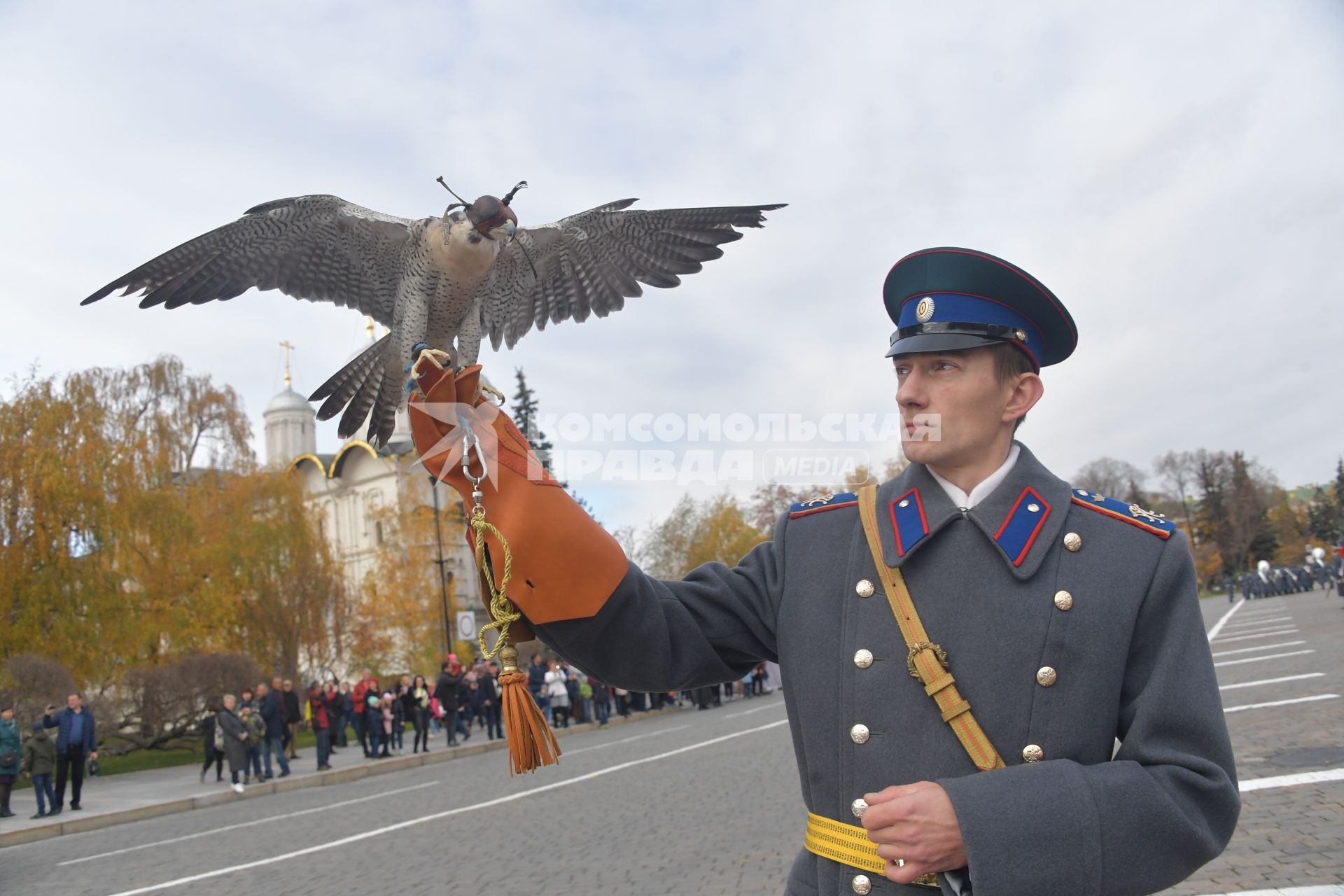 Москва.  Сотрудник орнитологической службы  Кремля держит ястреба.