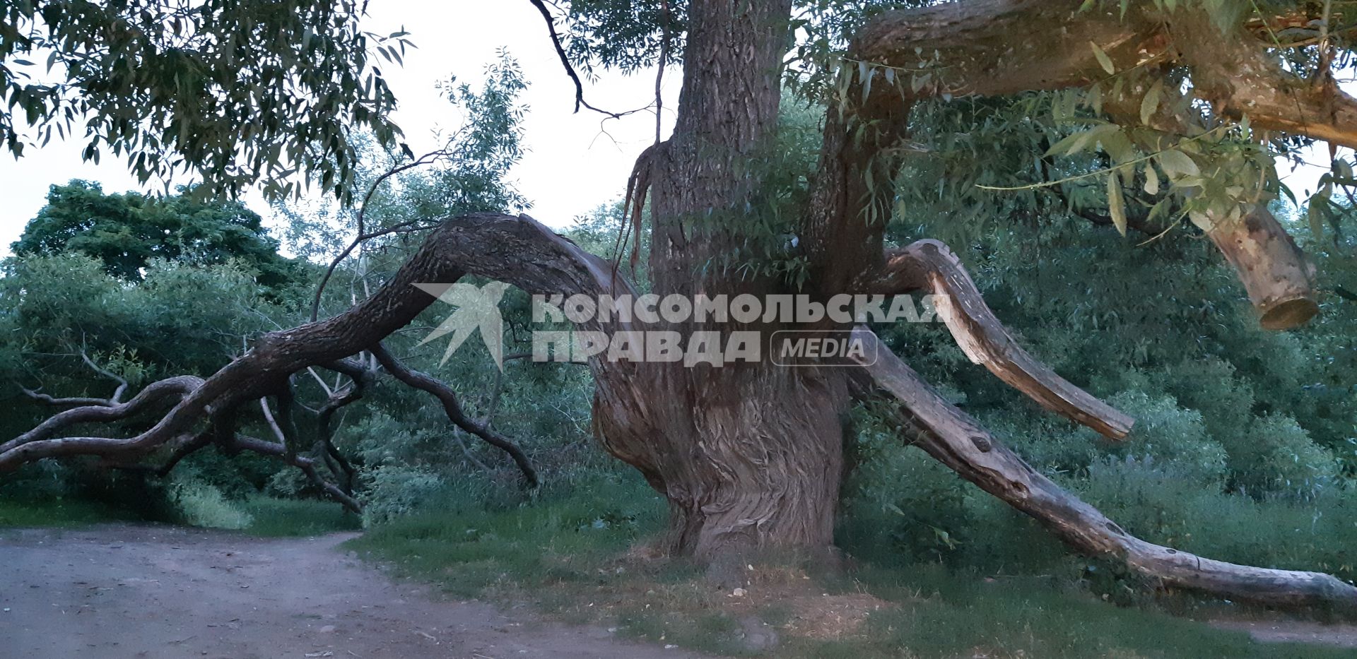 Москвовская область. Виды Санатория  имени Герцена  в Одинцовский районе.