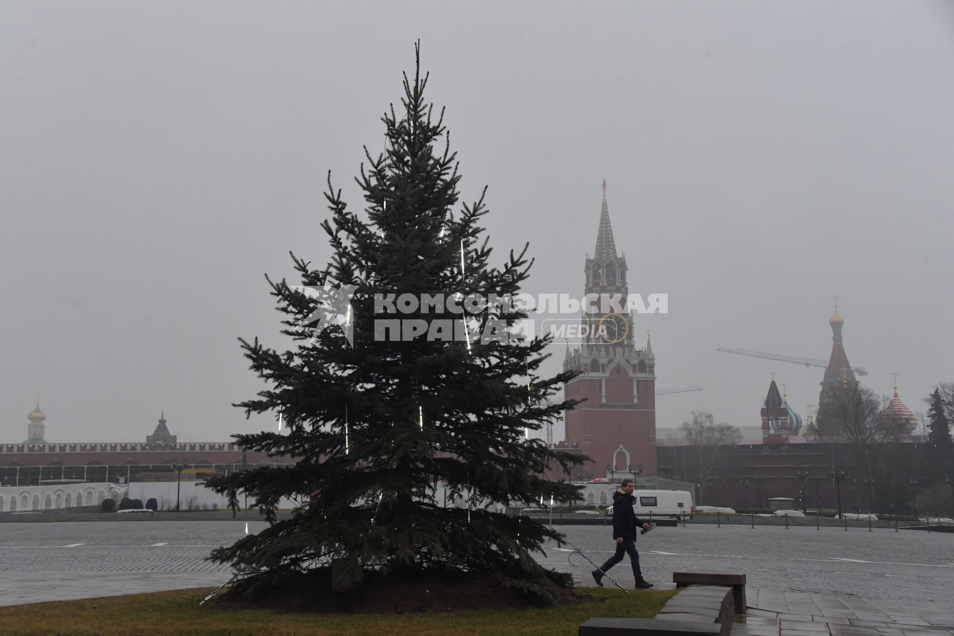 Москва.  Новогодняя елка в Московском Кремле.