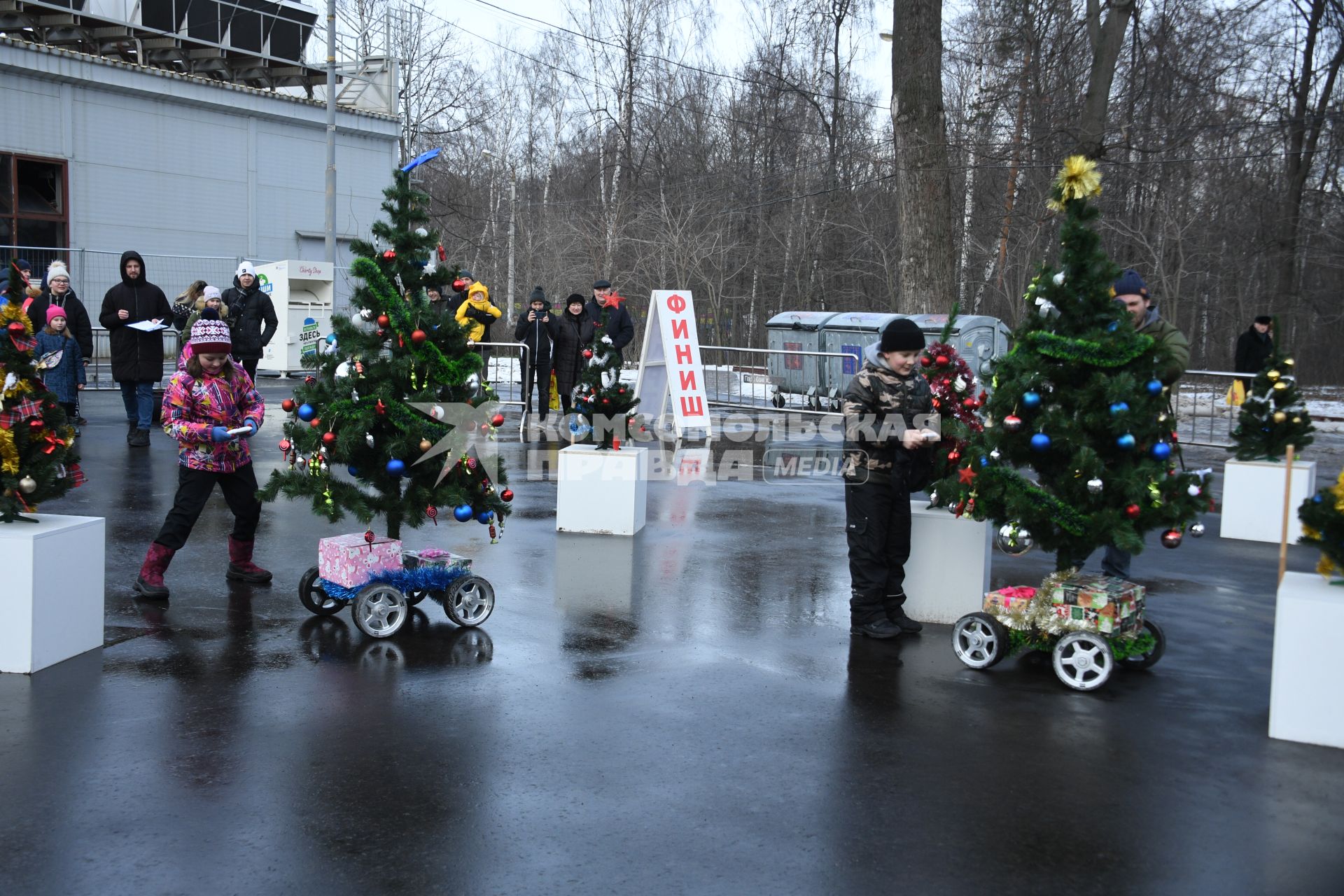 Москва.   `Гонки елок` в парке `Сокольники`.