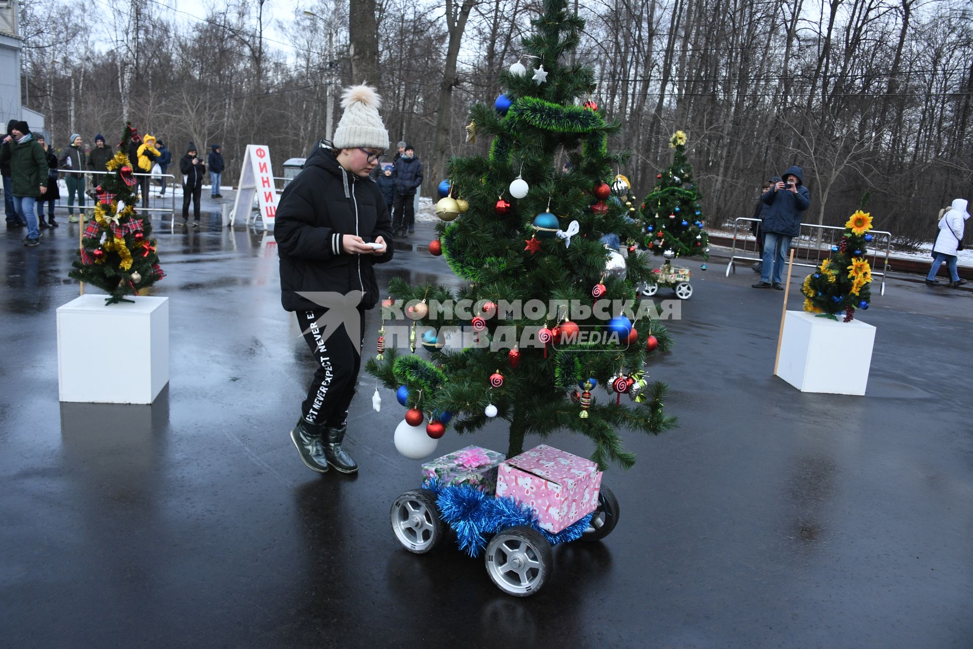 Москва.   `Гонки елок` в парке `Сокольники`.