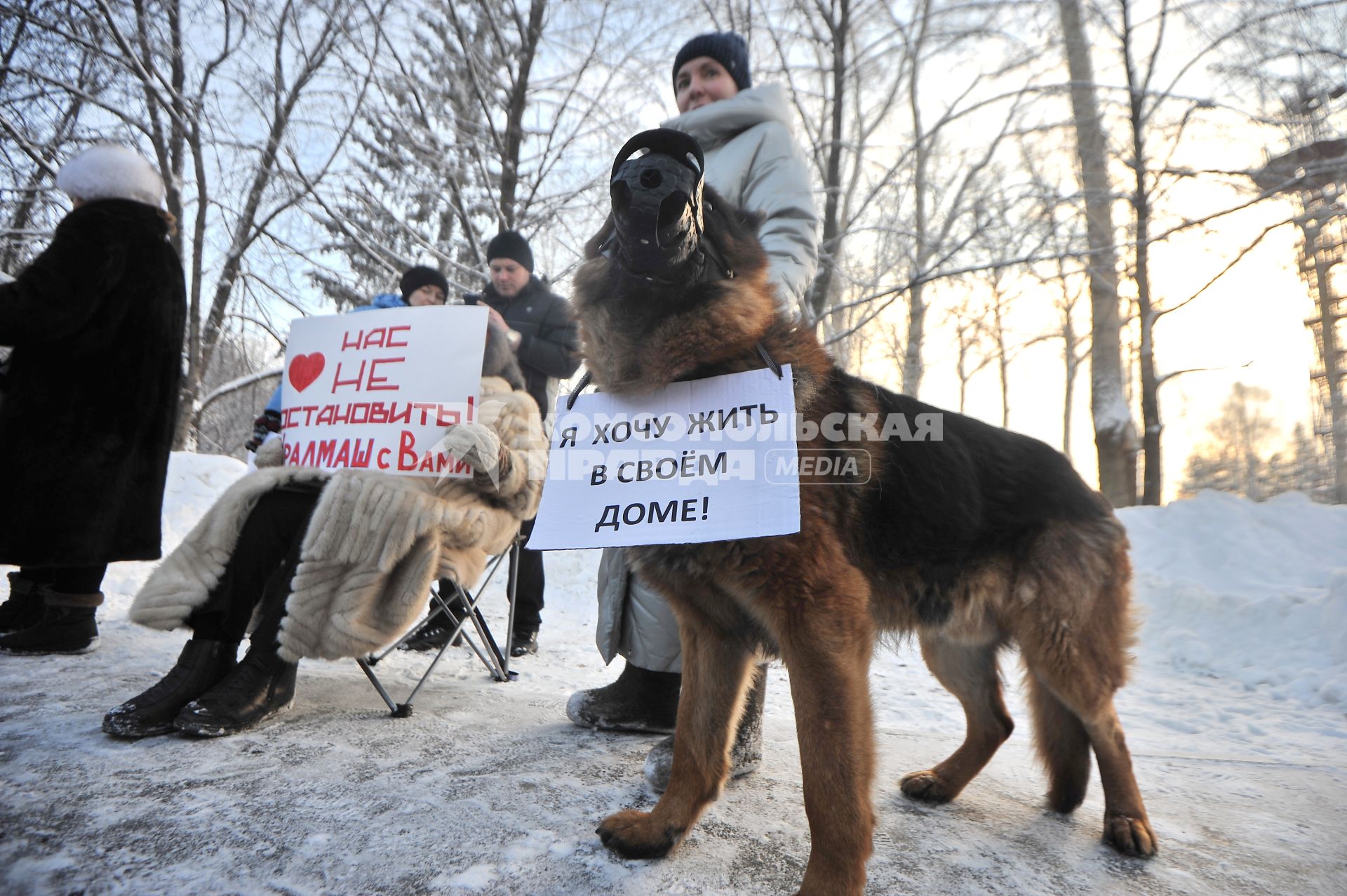 Екатеринбург. Собака на митинге против сноса домов в цыганском поселке