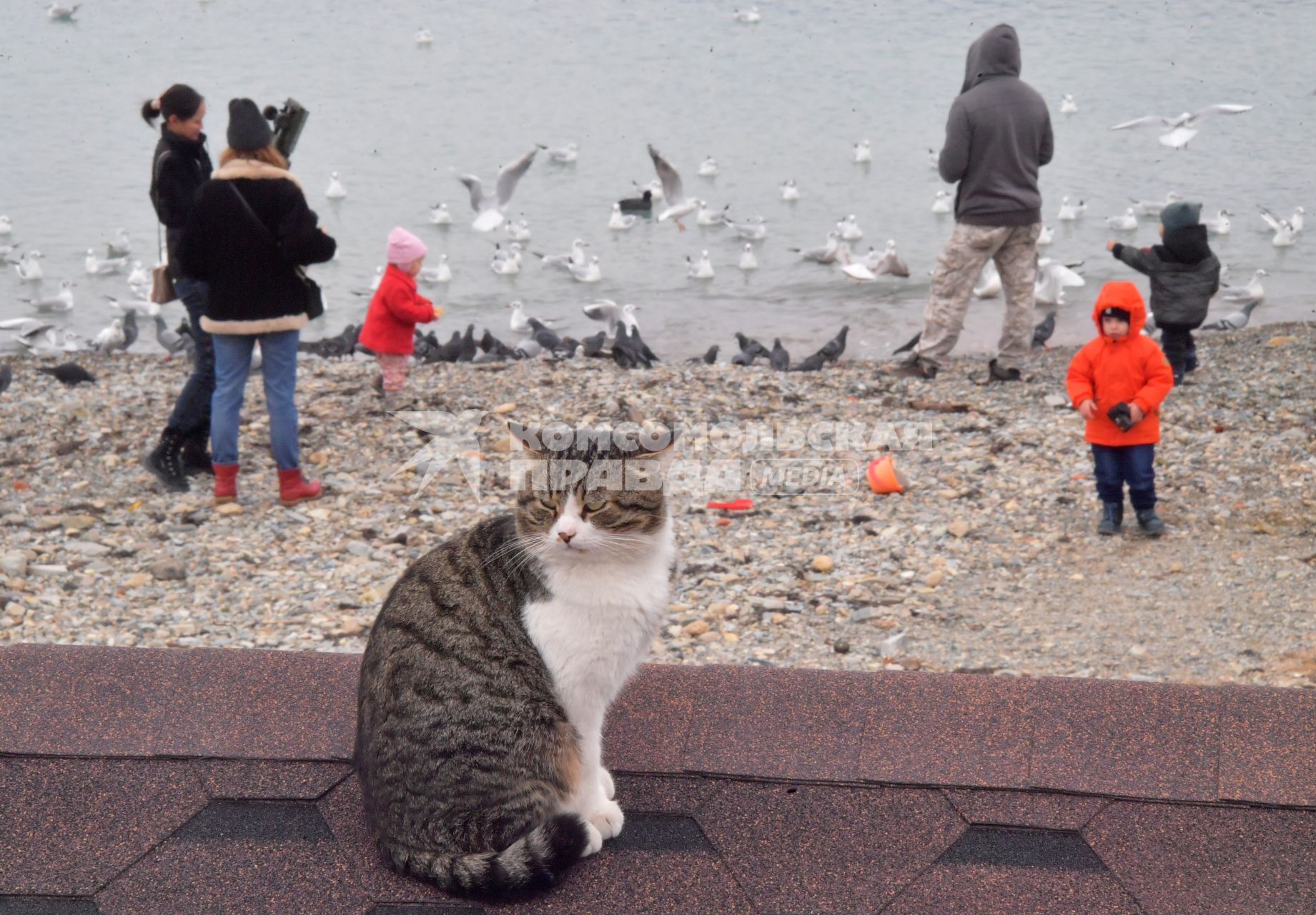 Геленджик.   Отдыхающие на берегу моря.