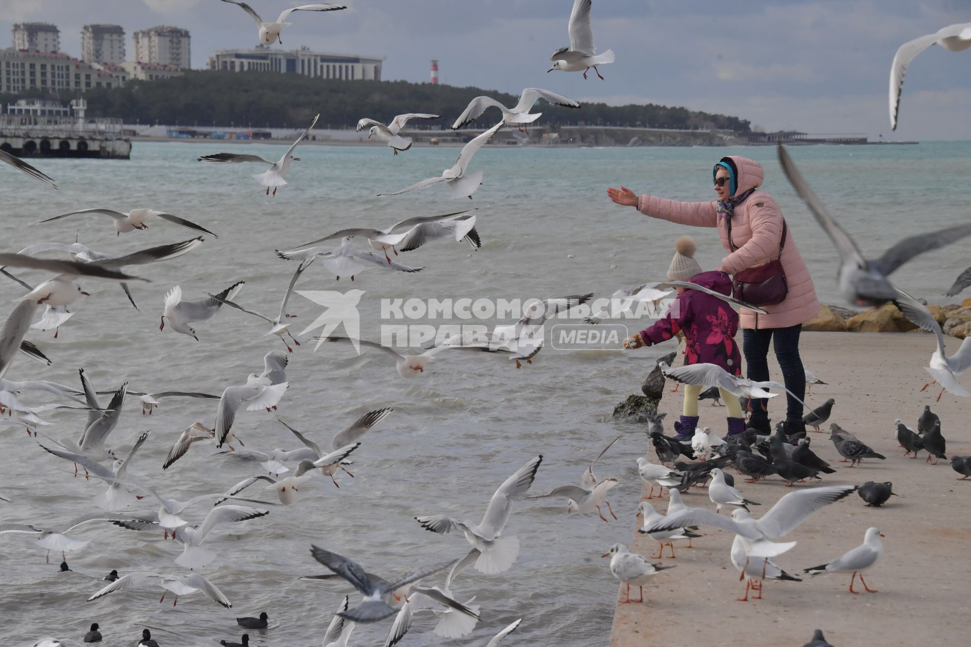 Геленджик.   Женщина  с девочкой кормят чаек на берегу моря.