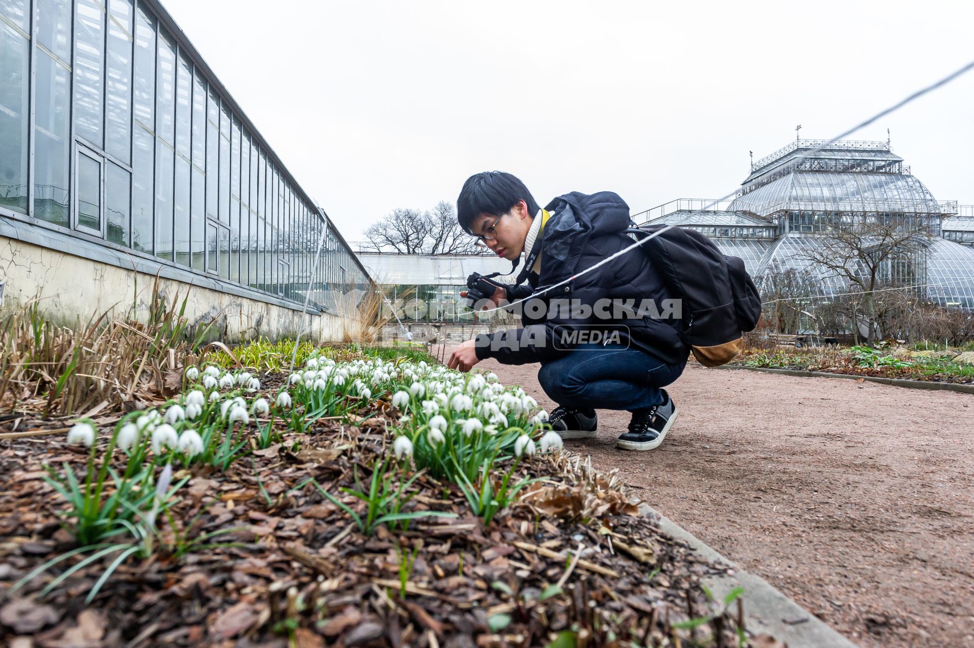 Санкт-Петербург.  Посетители фотографируют  Белоснежный подснежник   в Ботаническом саду Петра Великого.