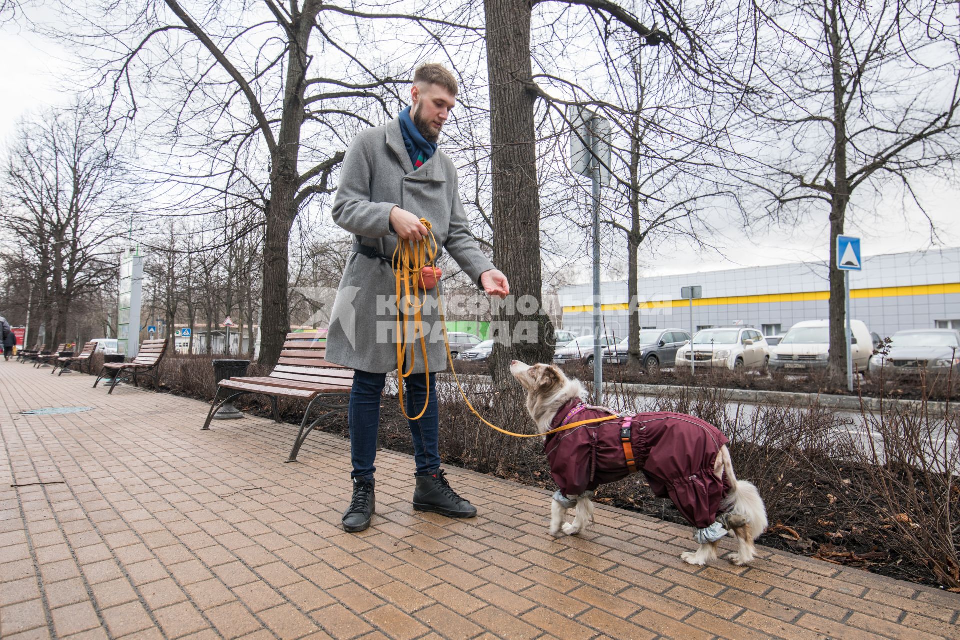 Москва. Молодой человек выгуливает собаку.