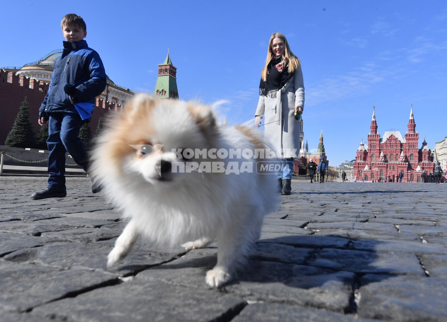 Москва.   Женщина с собачкой гуляет по Красной площади.