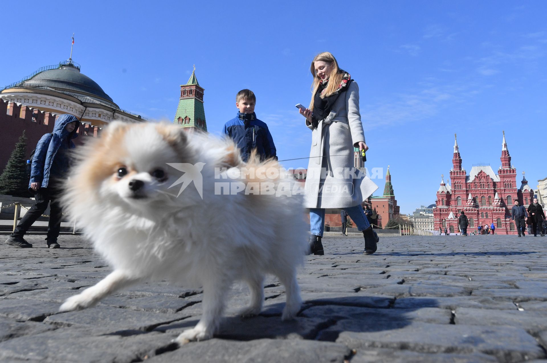 Москва.   Женщина с собачкой гуляет по Красной площади.