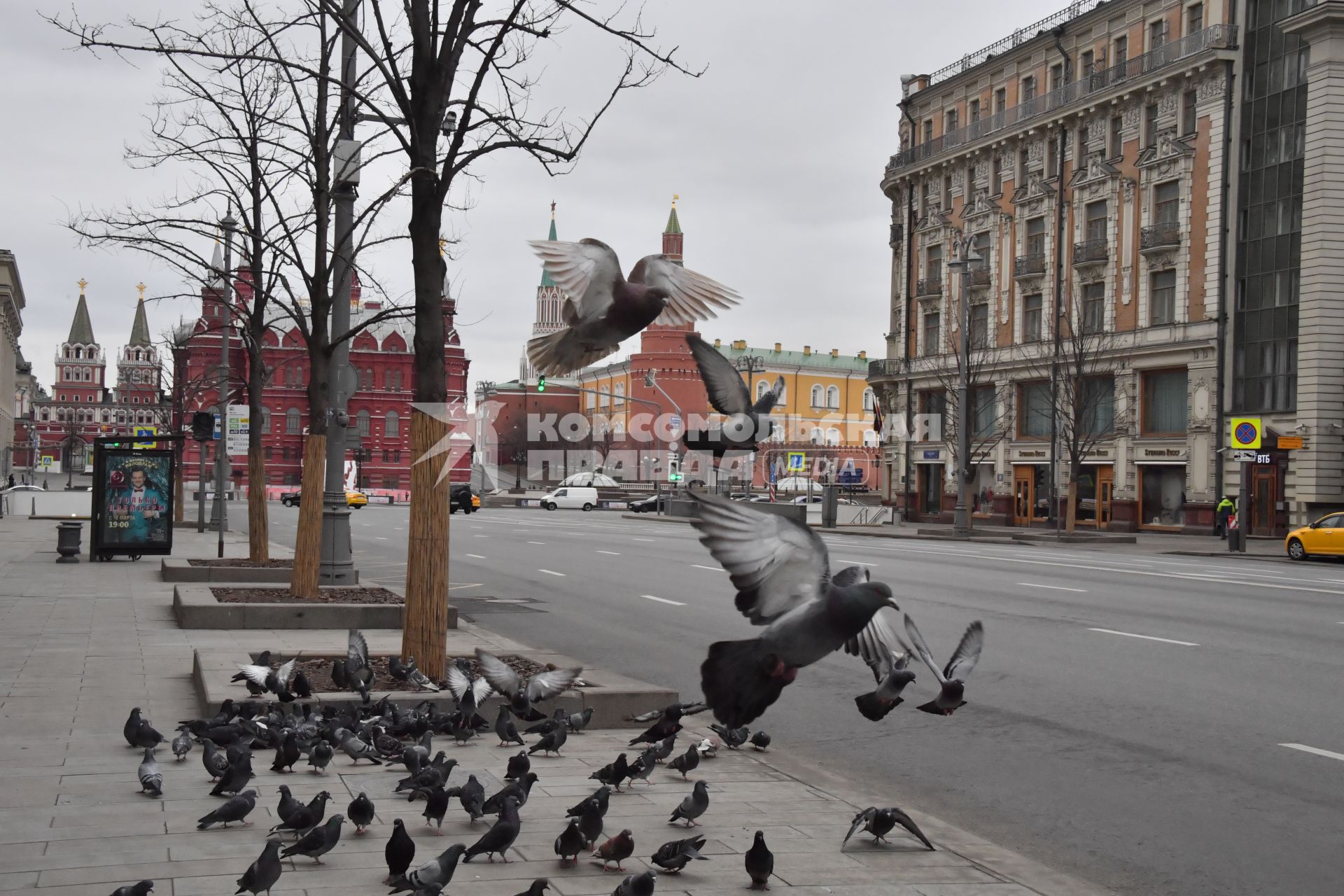 Москва.   Стая голубей на Тверской улице.