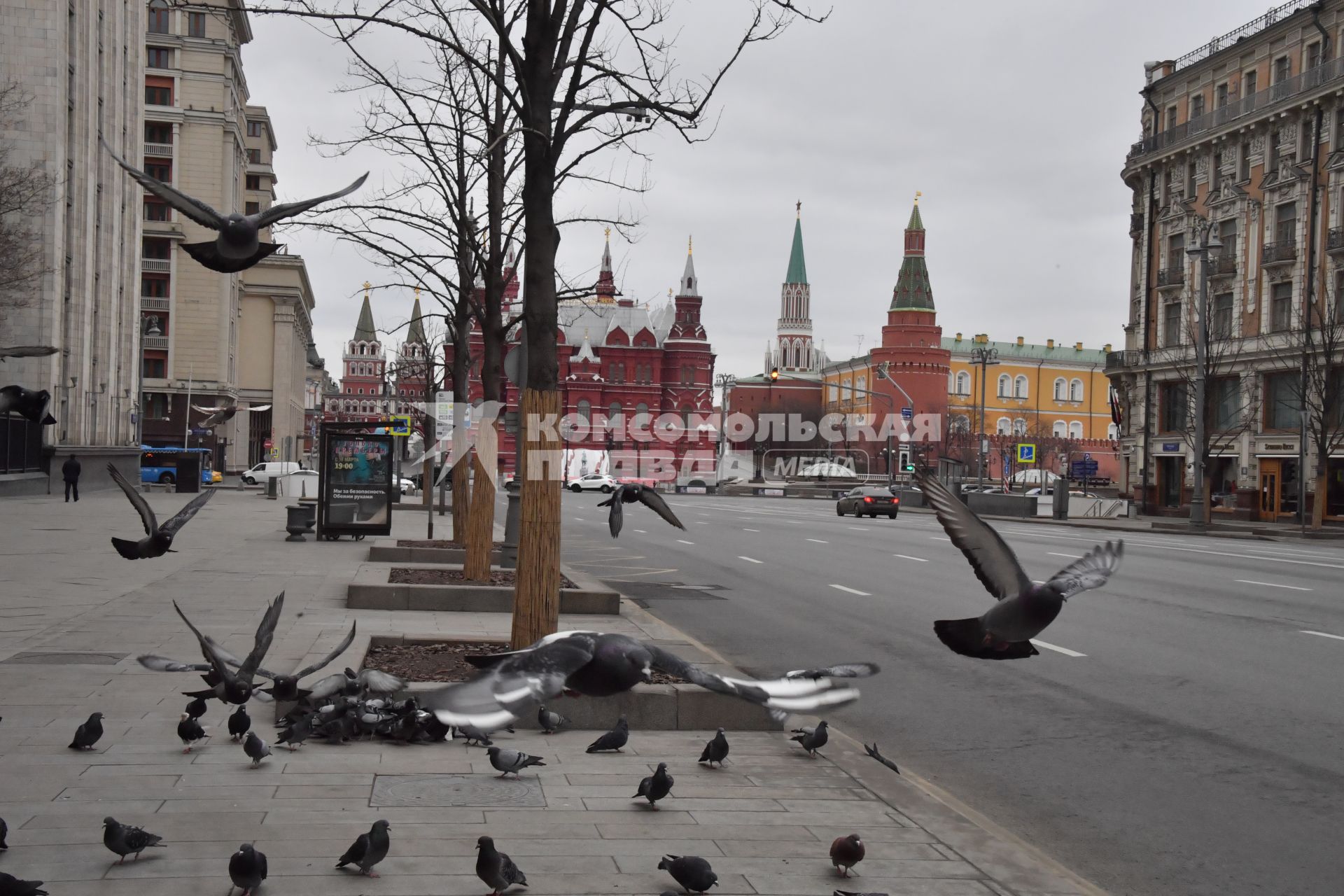 Москва.   Стая голубей на Тверской улице.