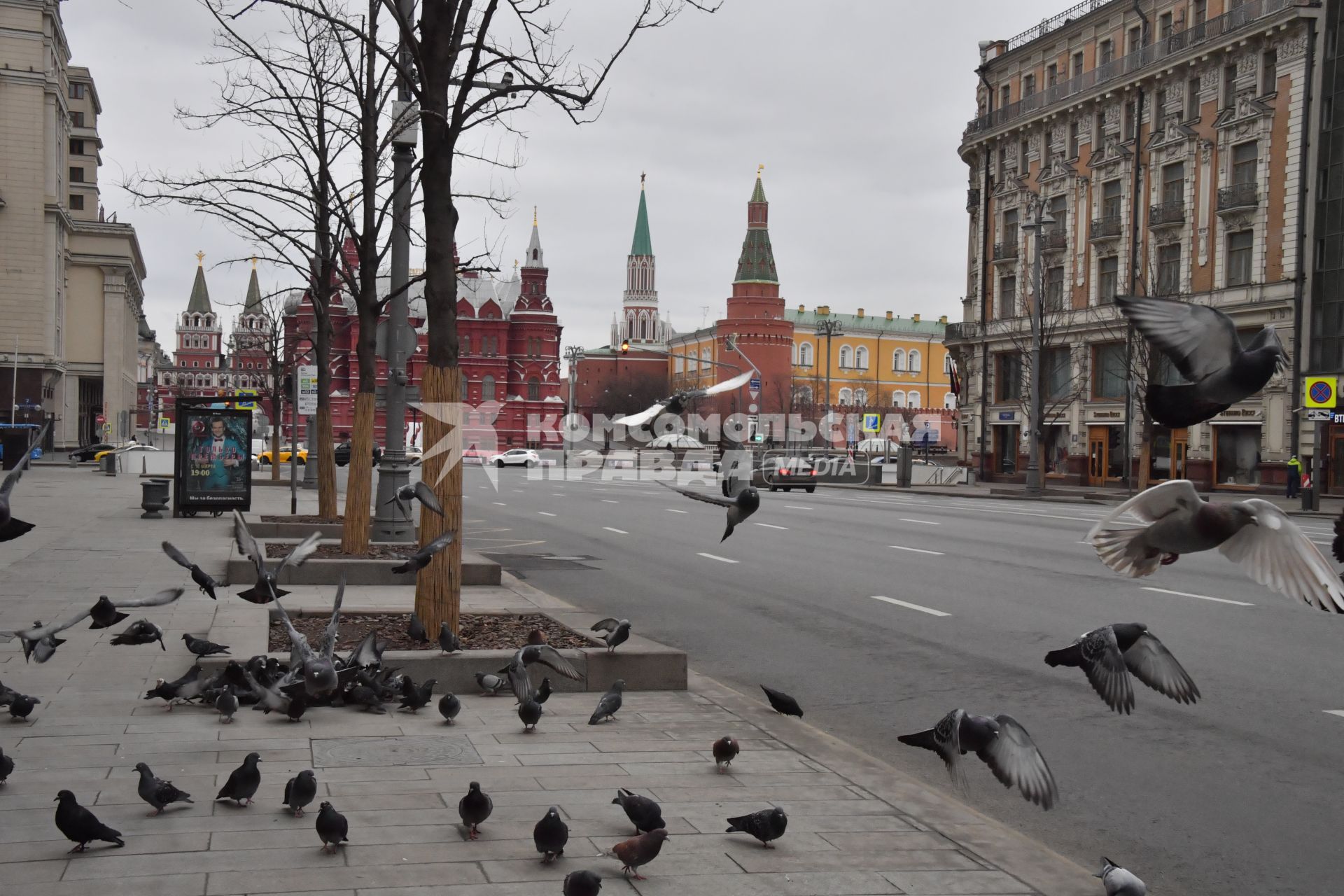 Москва.   Стая голубей на Тверской улице.