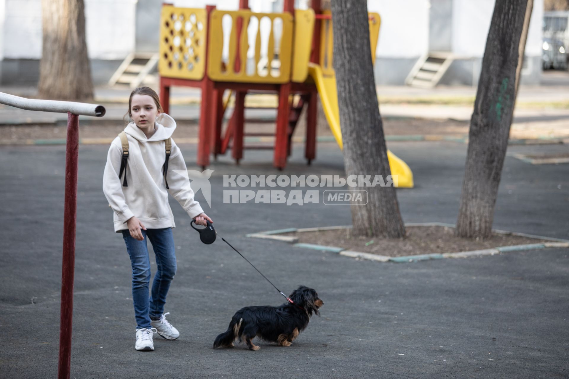 Москва.   Девочка гуляет с собакой во дворе дома.