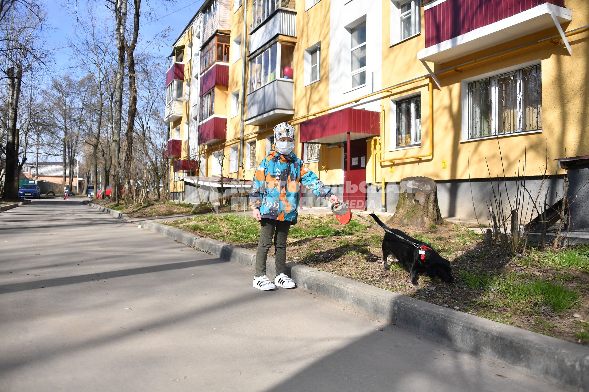 Москва.   Мальчик в медицинской маске гуляет с собакой во дворе.