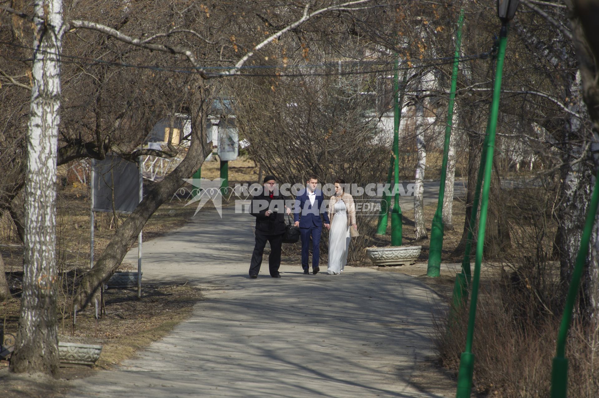 Екатеринбург. Молодожены с свадебным фотографом в парке во время режима самоизоляции, введеного из-за распространения коронавирусной инфекции COVID-19