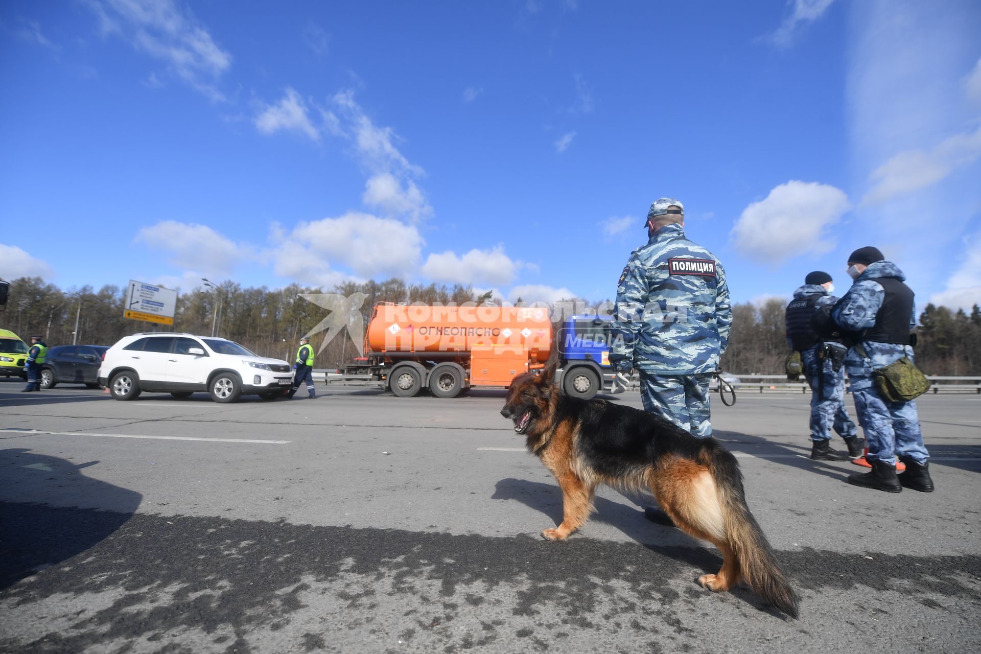 Москва. Сотрудник дорожно-патрульной службы ГИБДД во время проверки электронного пропуска у водителя на блокпосту при въезде в Москву.