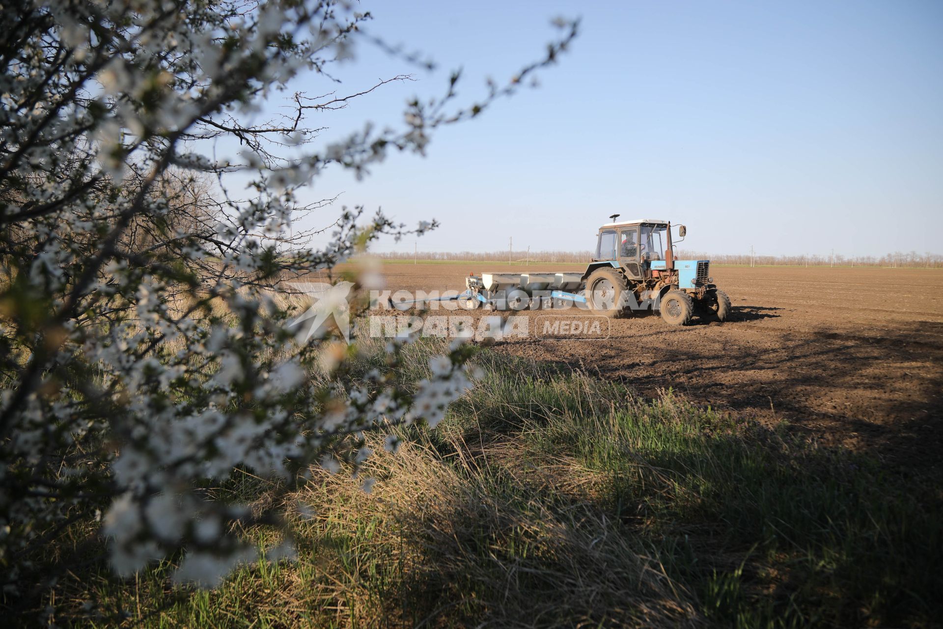 Ставрополь. Трактор засеивает поле подсолнечником в Ставропольском крае.