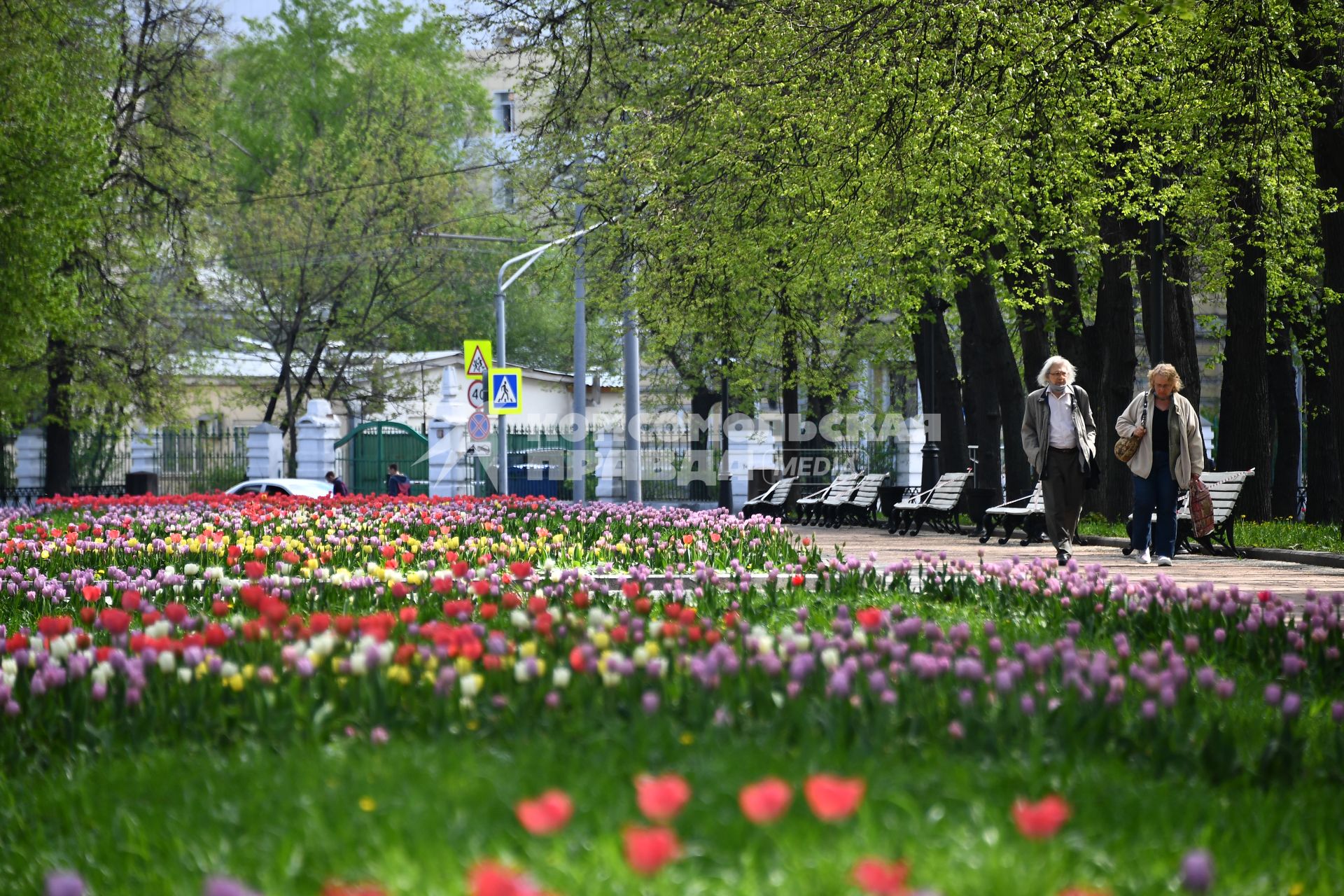 Москва. Клумба с тюльпанами.