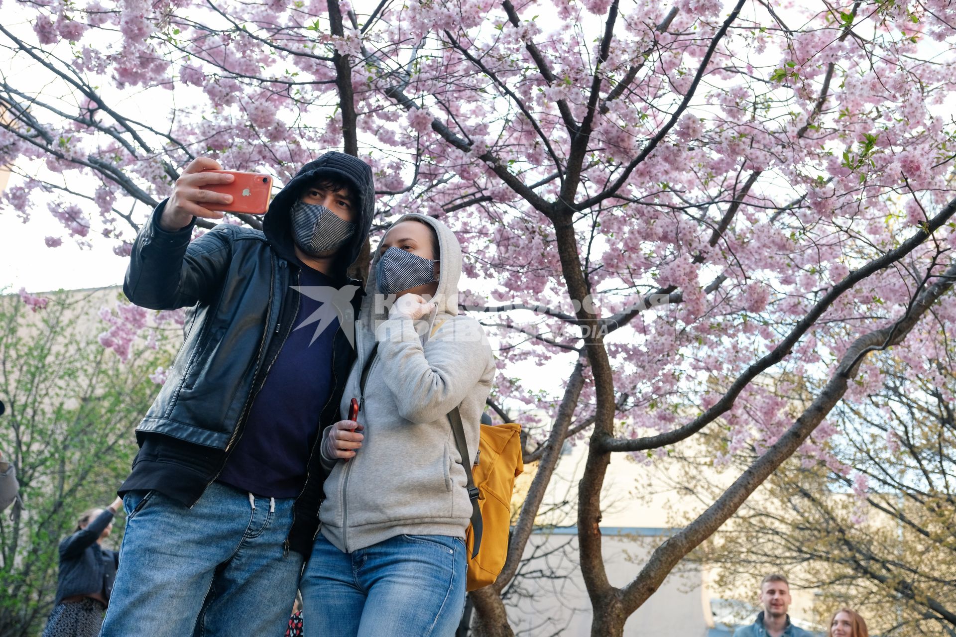 Санкт-Петербург. Посетители китайского `Сада дружбы` гуляют около цветущей сакуры.
