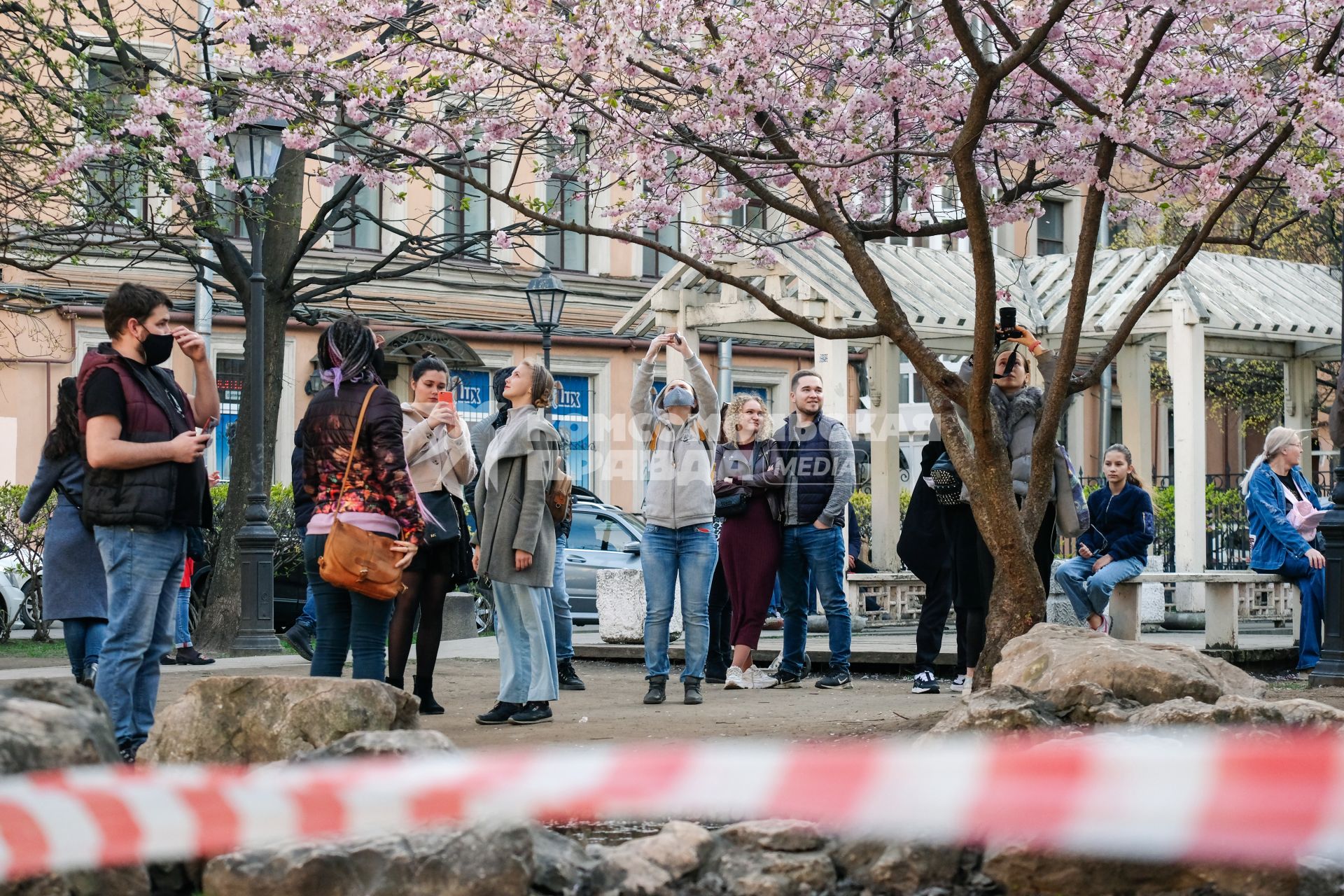 Санкт-Петербург. Посетители китайского `Сада дружбы` гуляют около цветущих сакур.