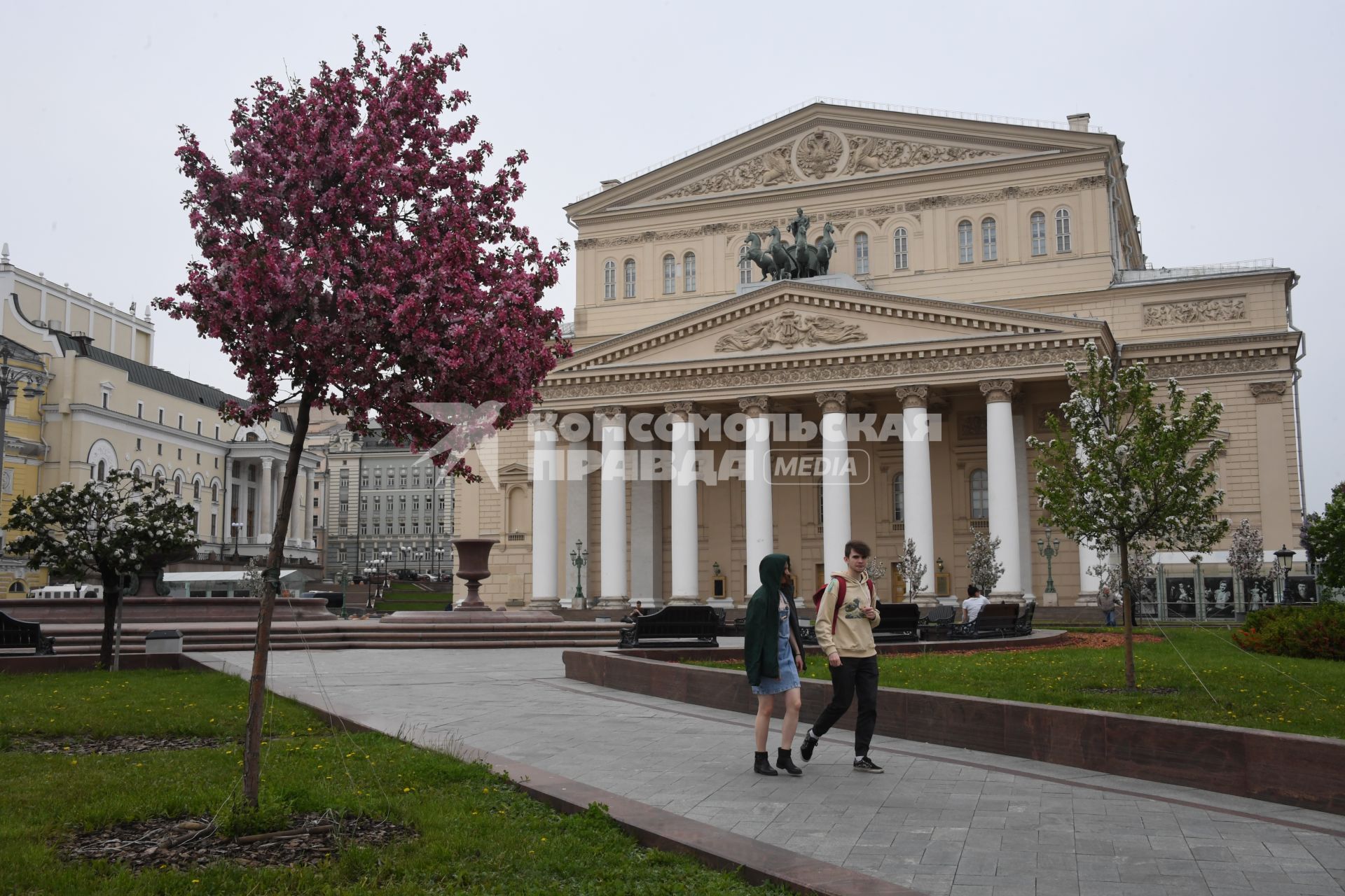 Москва. Цветущие деревья в сквере у Большого Театра.