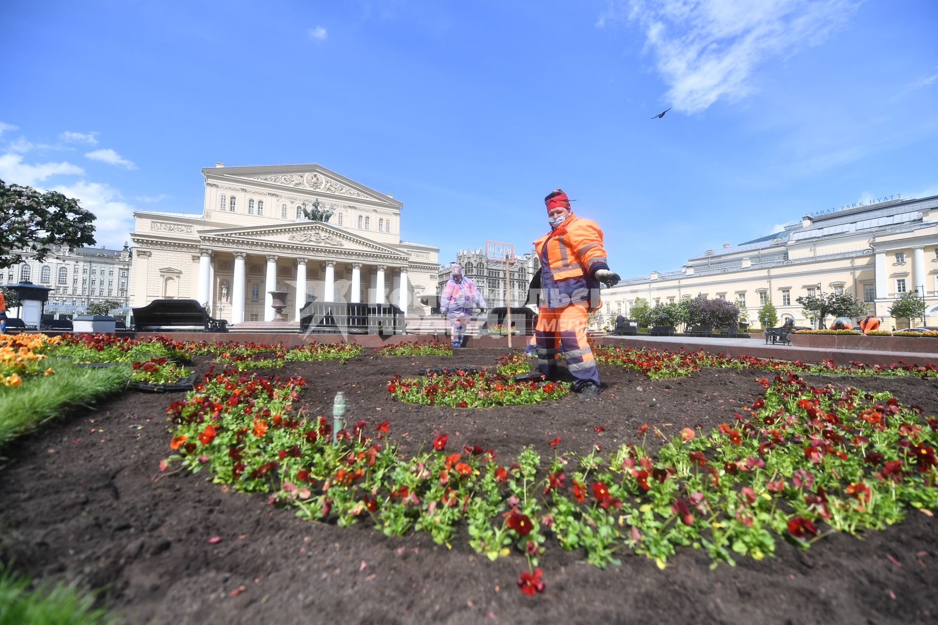 Москва. Работники по озеленению высаживают цветы на клумбы возле Большого театра.